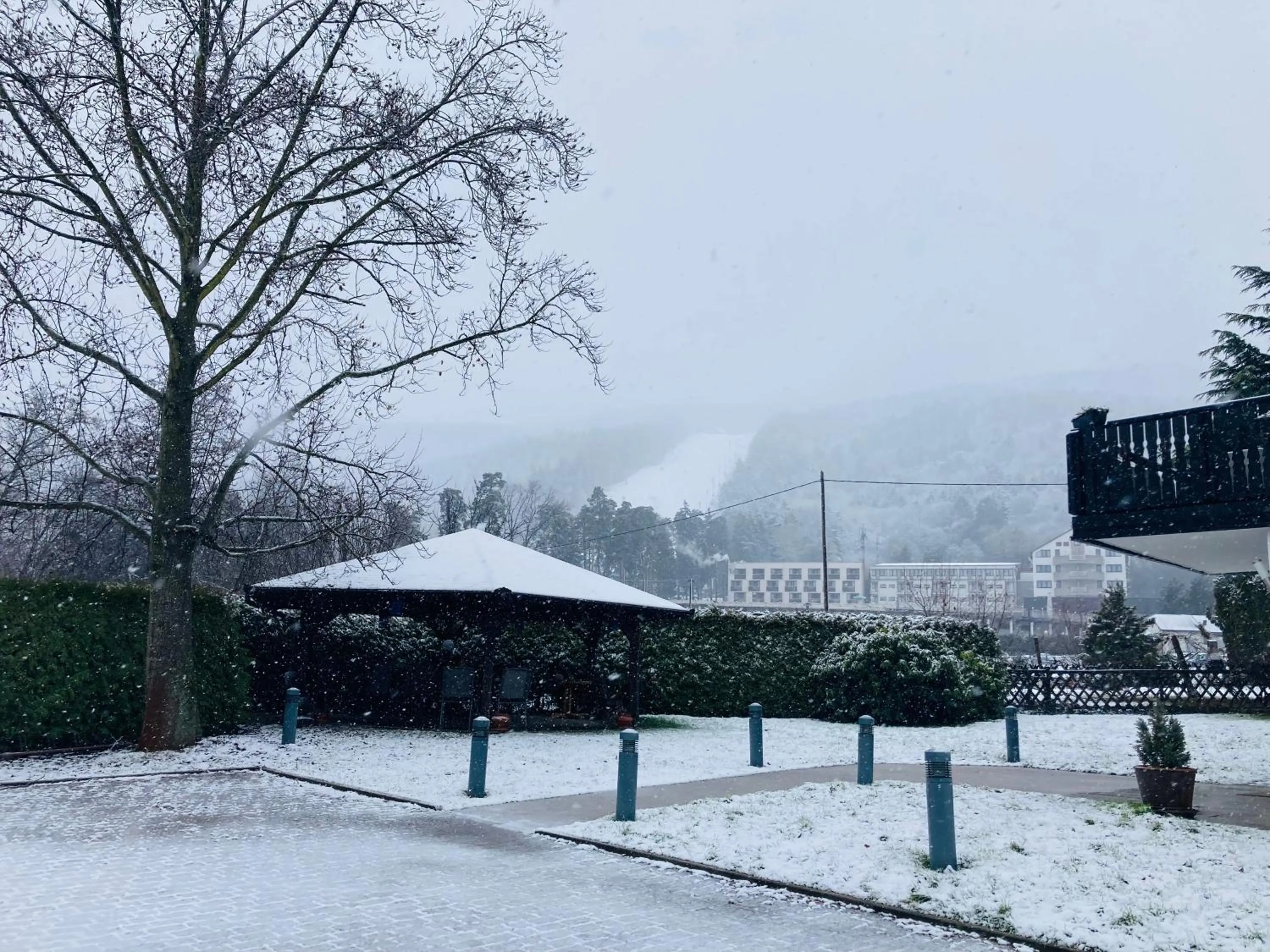 Natural landscape in Hotel Pohorje