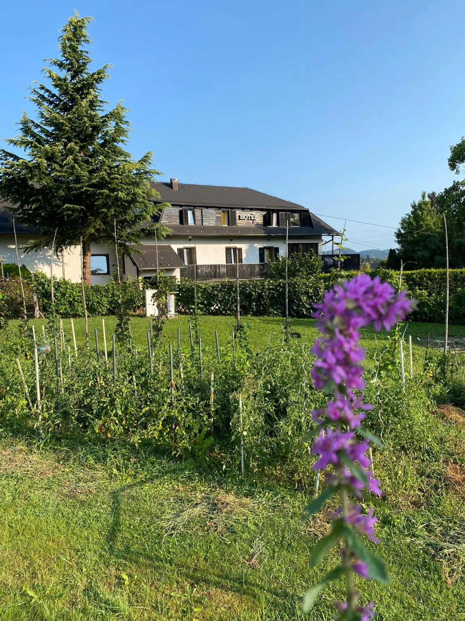Garden in Hotel Pohorje