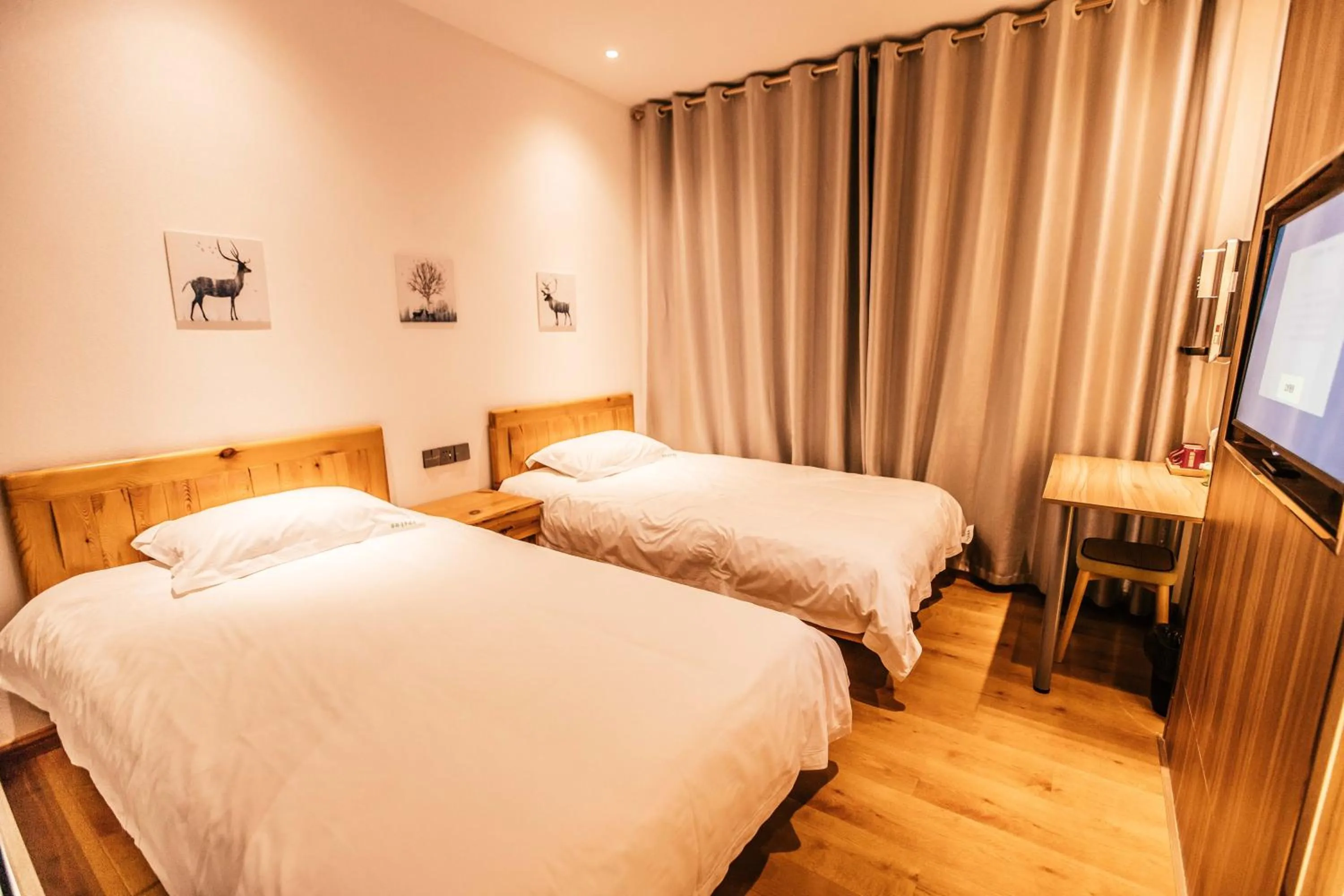 Bed in Qufu International Youth Hostel