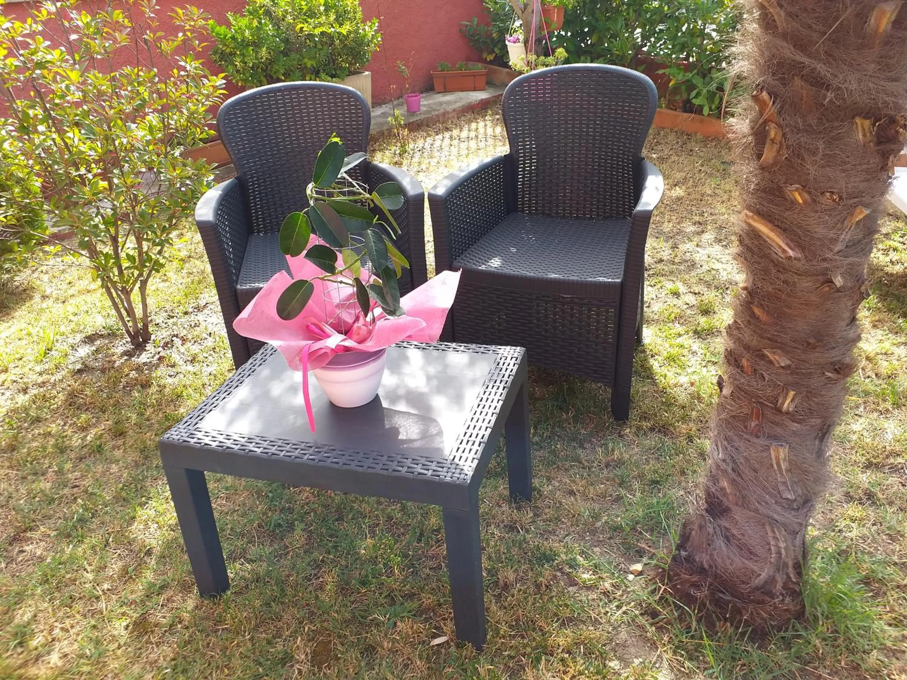 Garden in Bed & Breakfast La Rosa Rossa