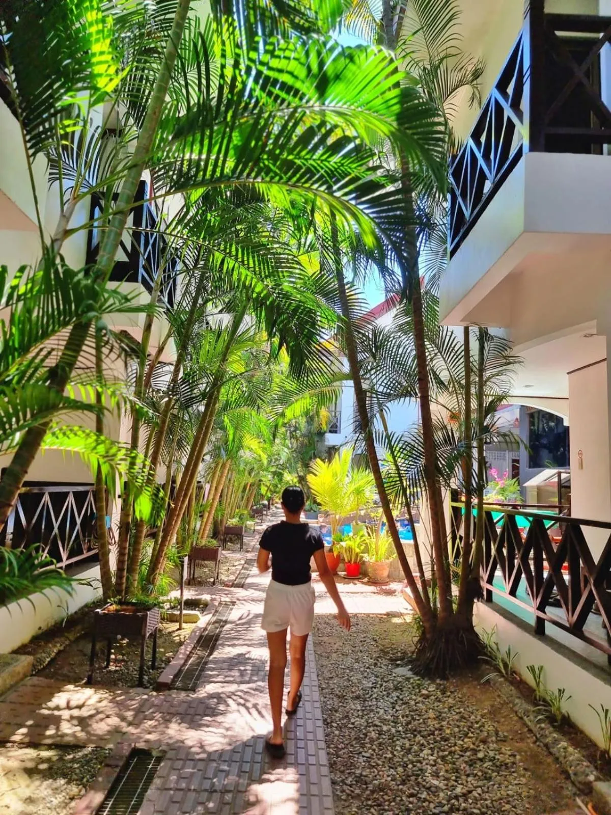 Natural landscape in Nirvana Beach Resort