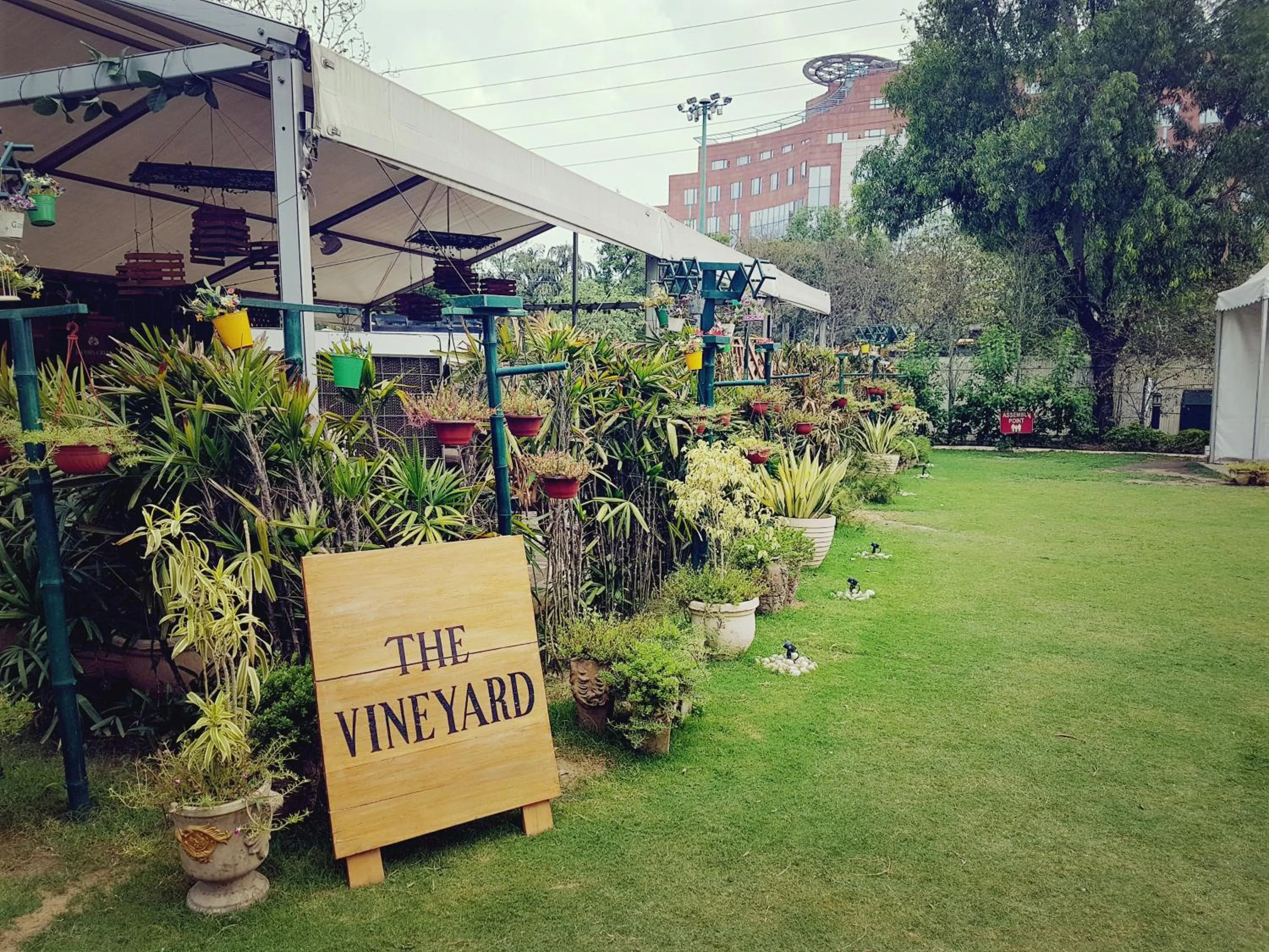 Garden in The Palms Town & Country Club - Resort