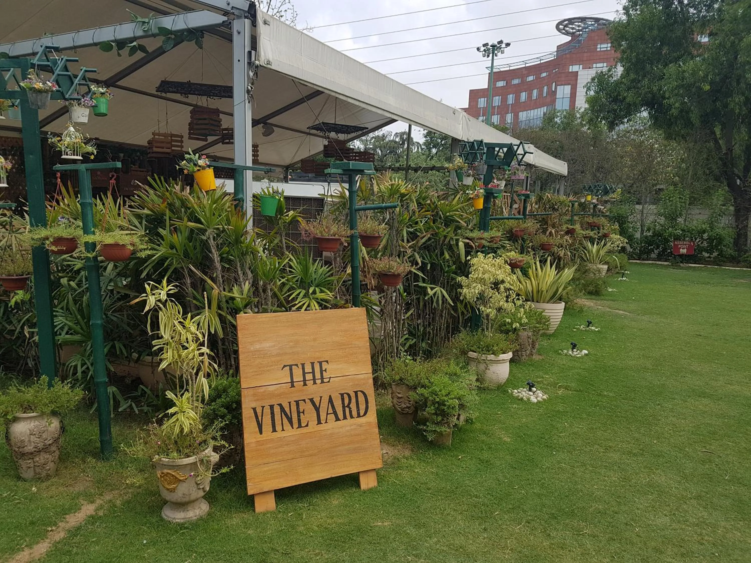 Garden in The Palms Town & Country Club - Resort