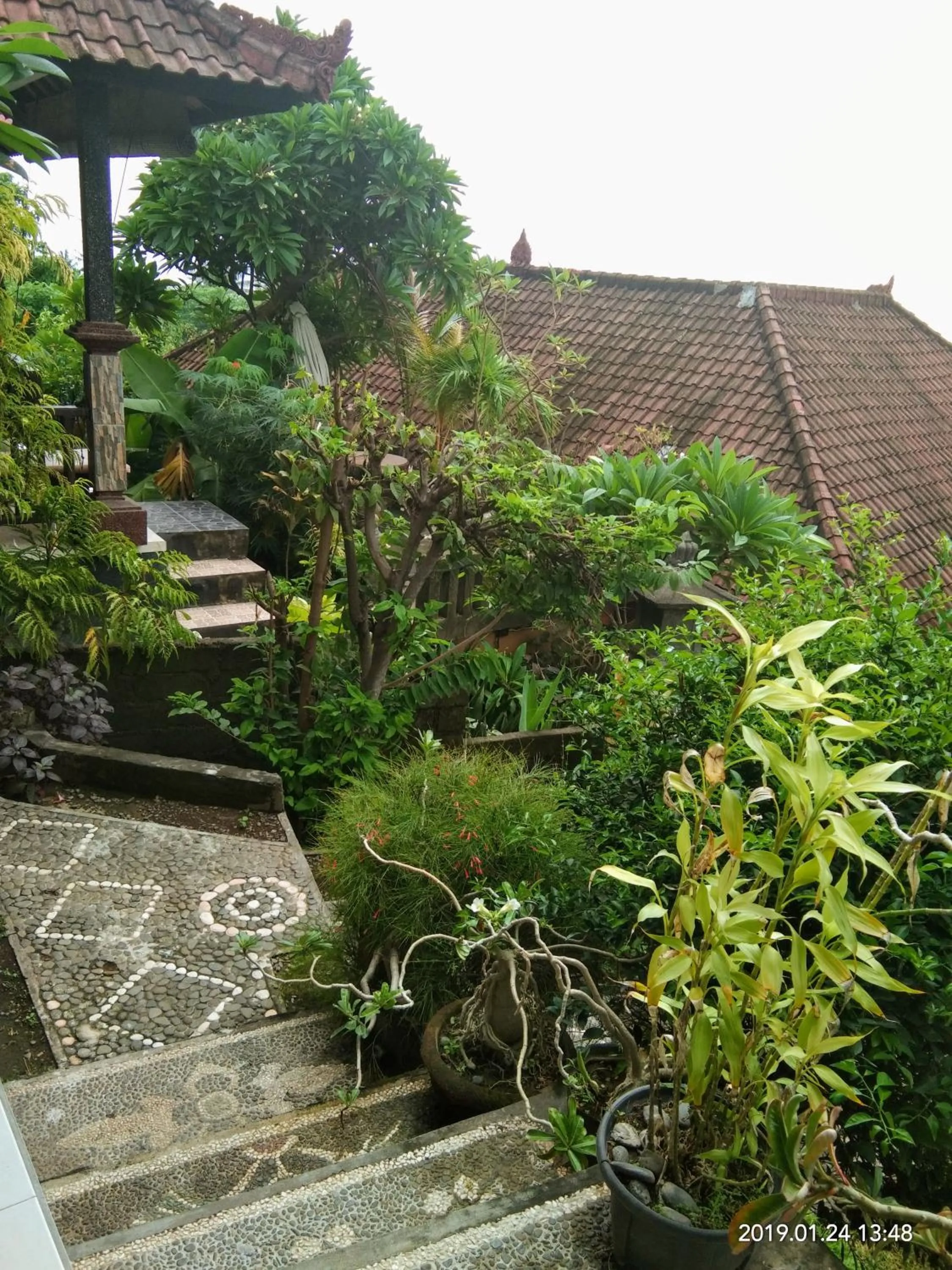 Garden in Bukit Indah Homestay