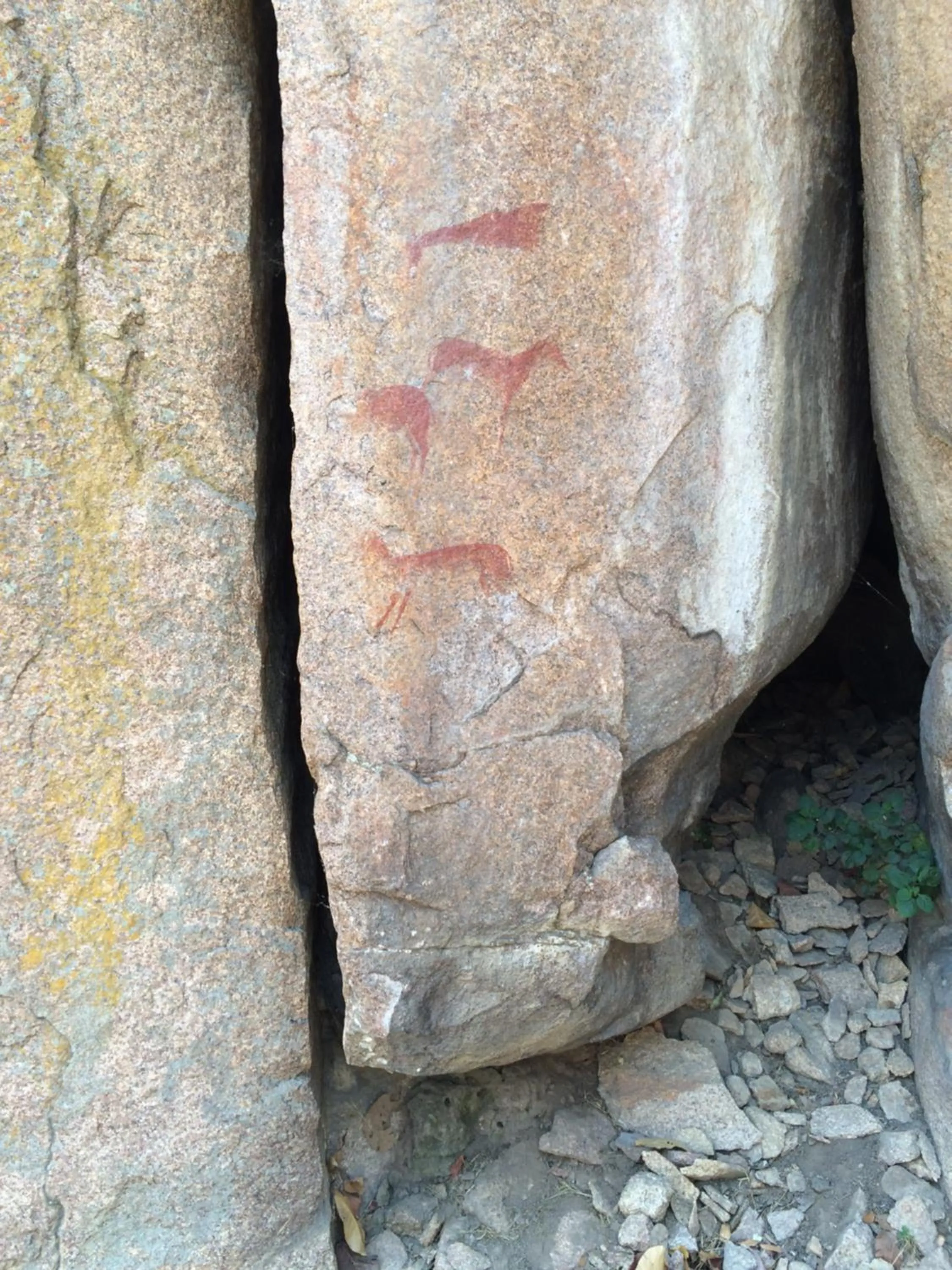 Natural landscape in Stephen Margolis Resort