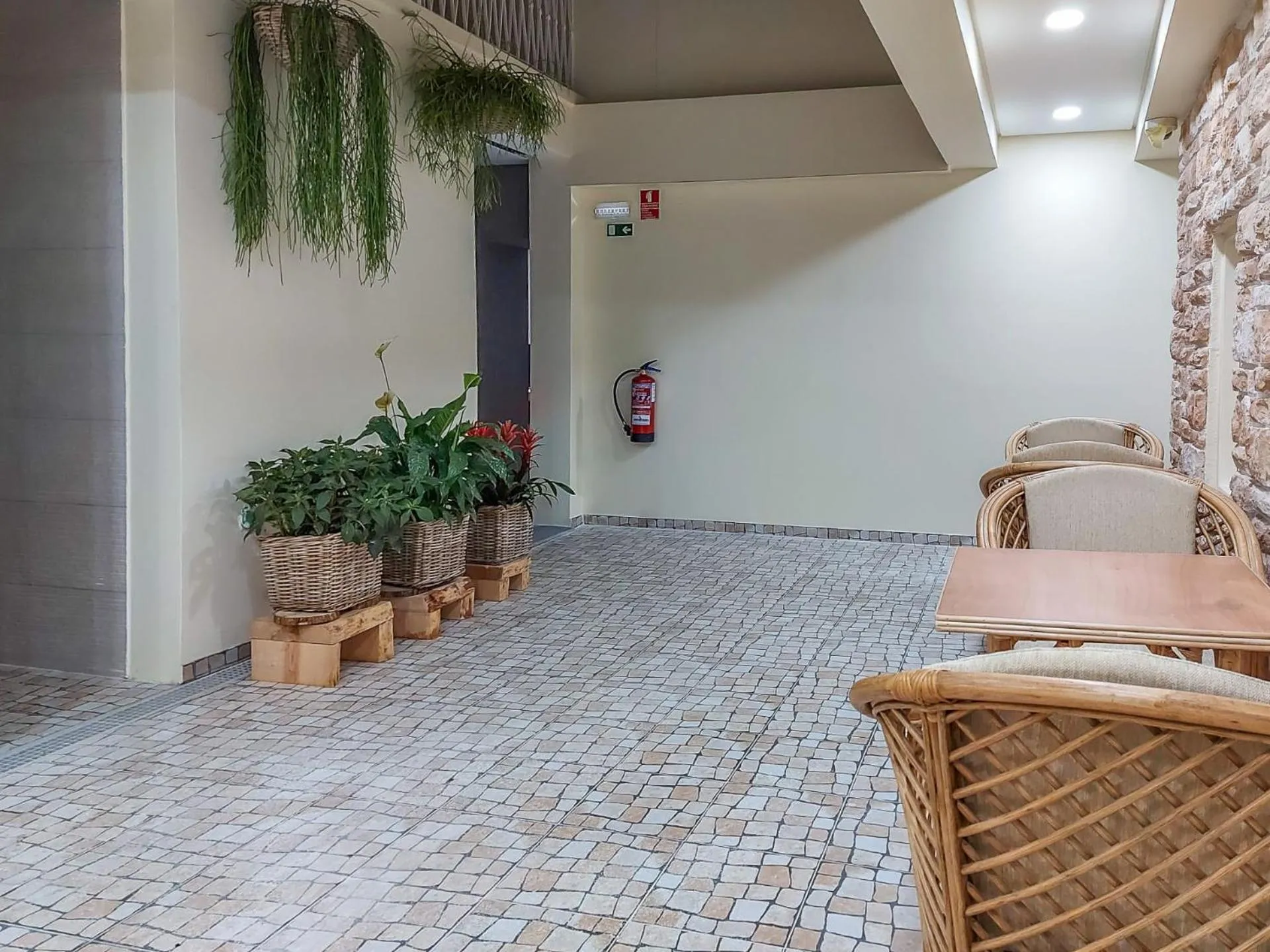 Garden in Zarco B&B Bed & Breakfast