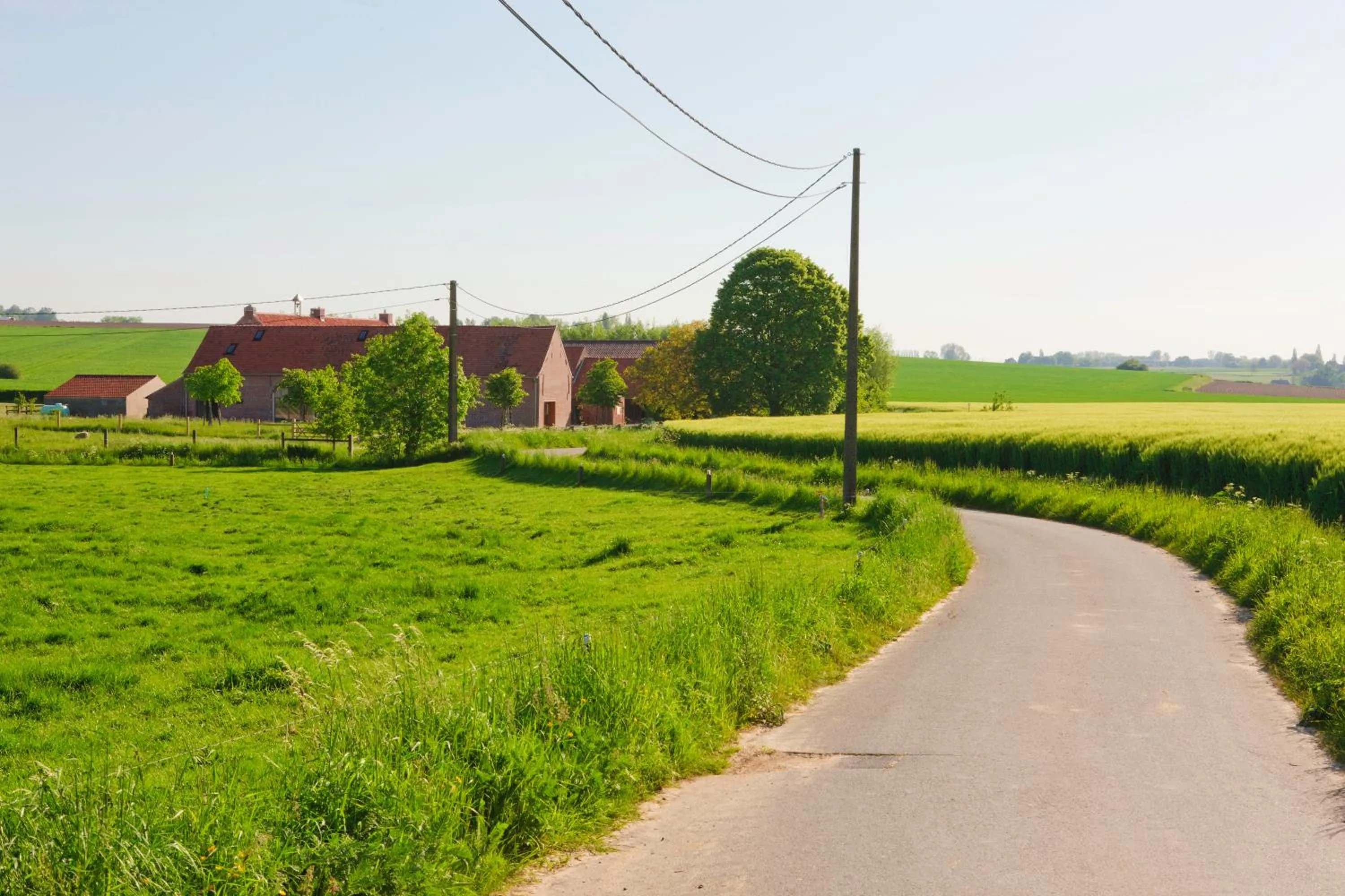 Horse-riding in B&B De Deugdzonde