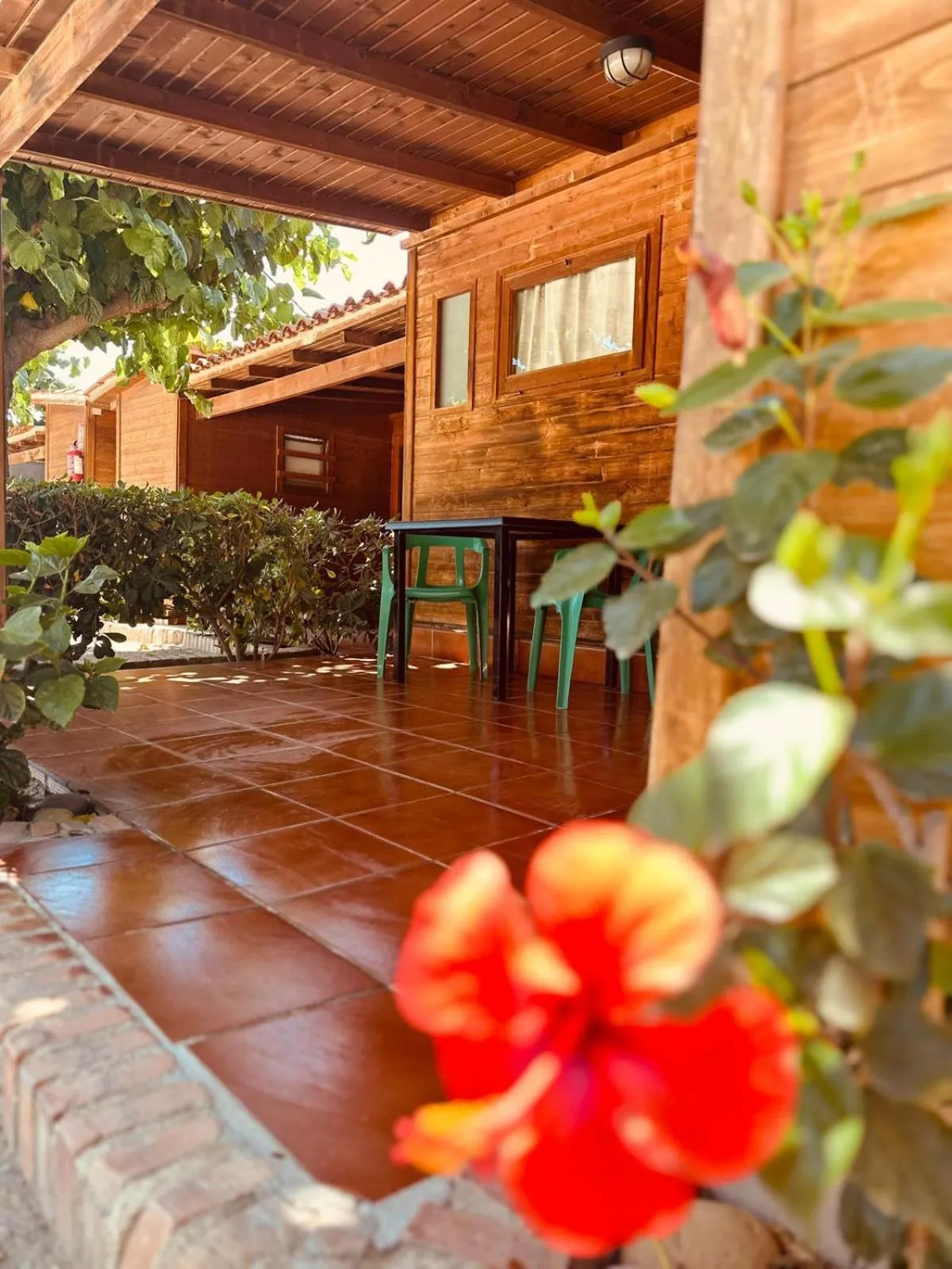 Camping Playa y Fiesta