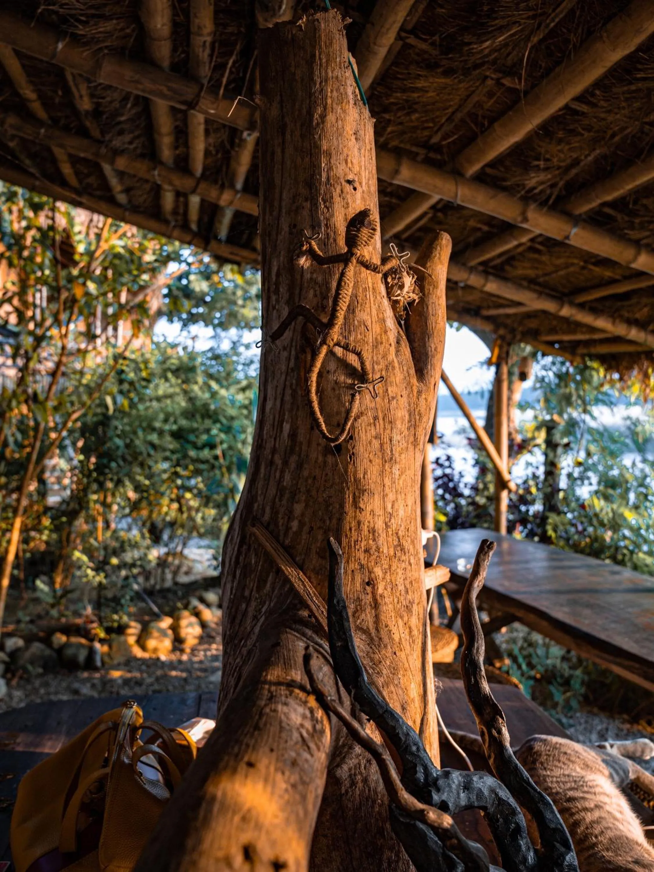 Happy Lemon Tree lodge