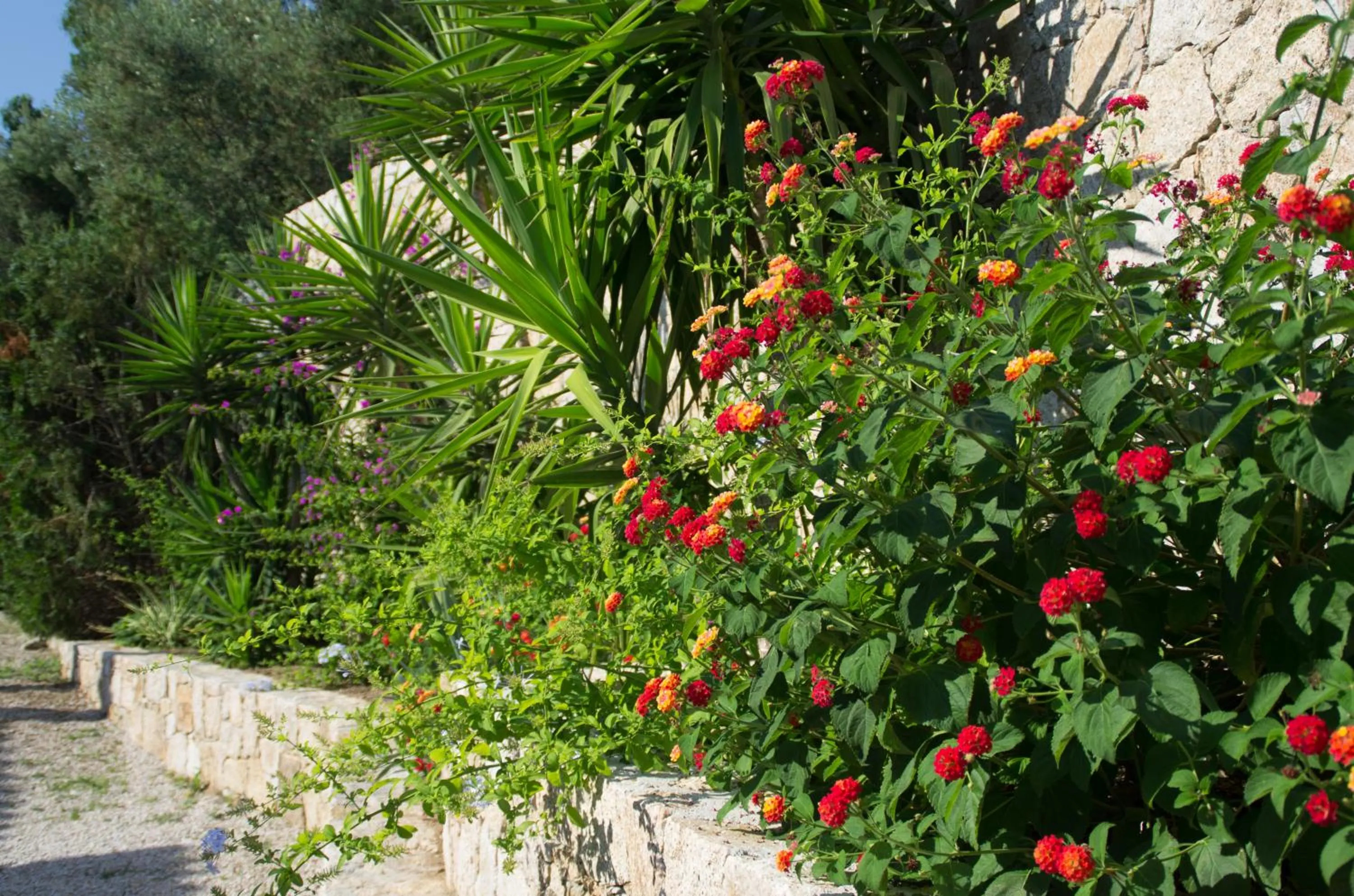 Garden in Hôtel et Résidence Benista