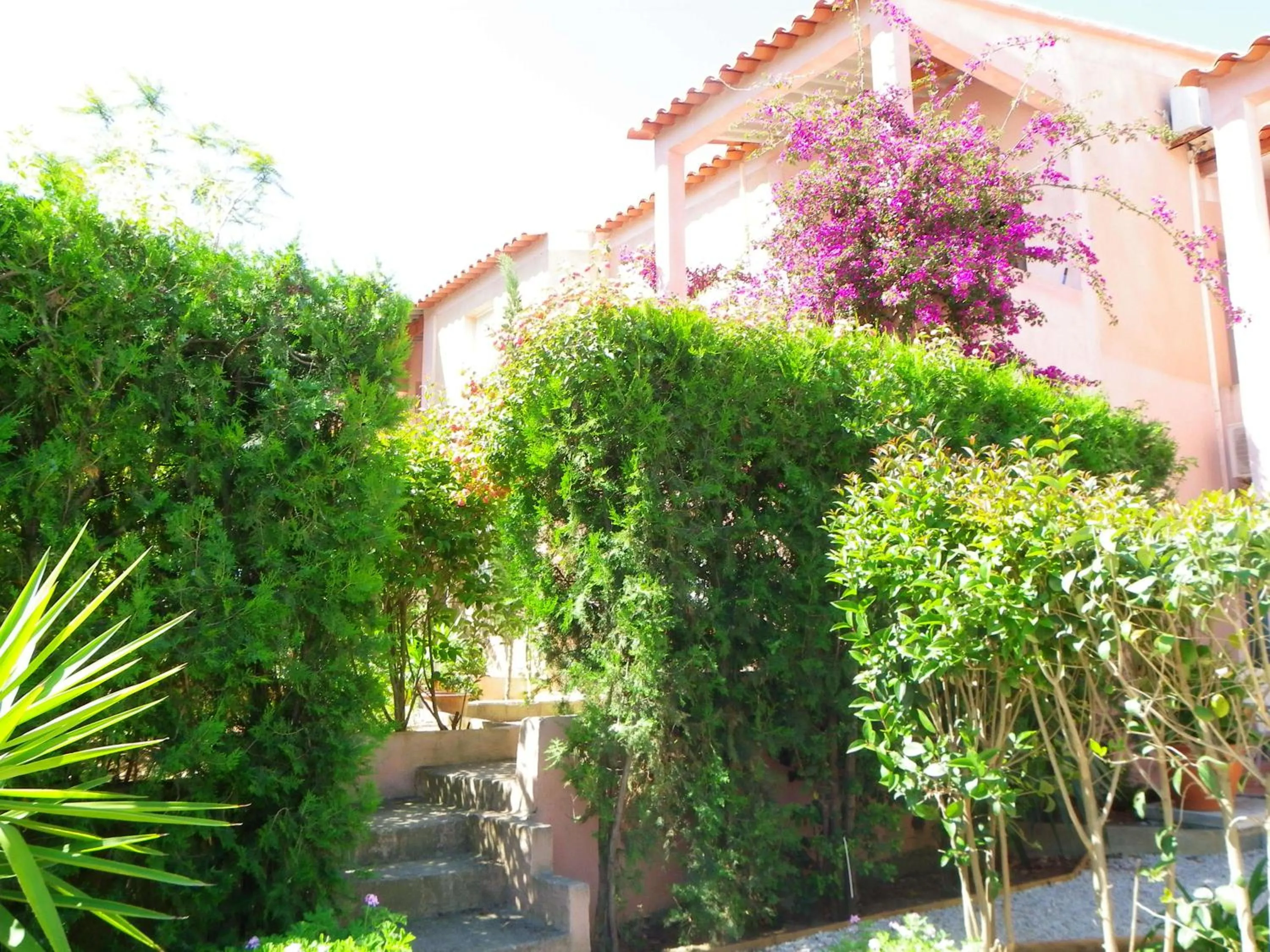 Garden in Hôtel et Résidence Benista