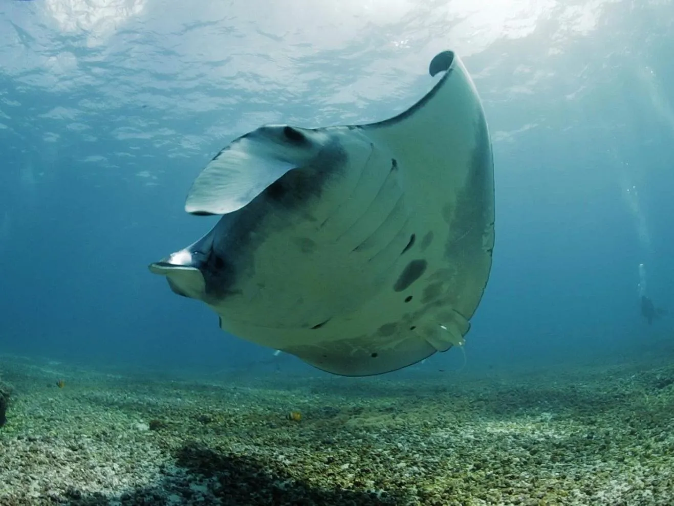 Activities in Komodo Resort