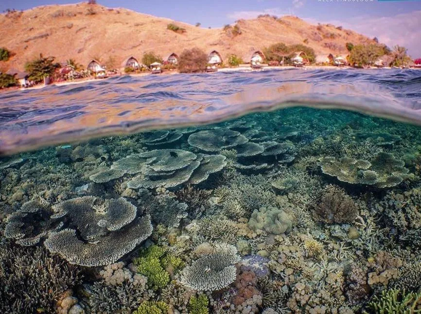 Natural landscape in Komodo Resort
