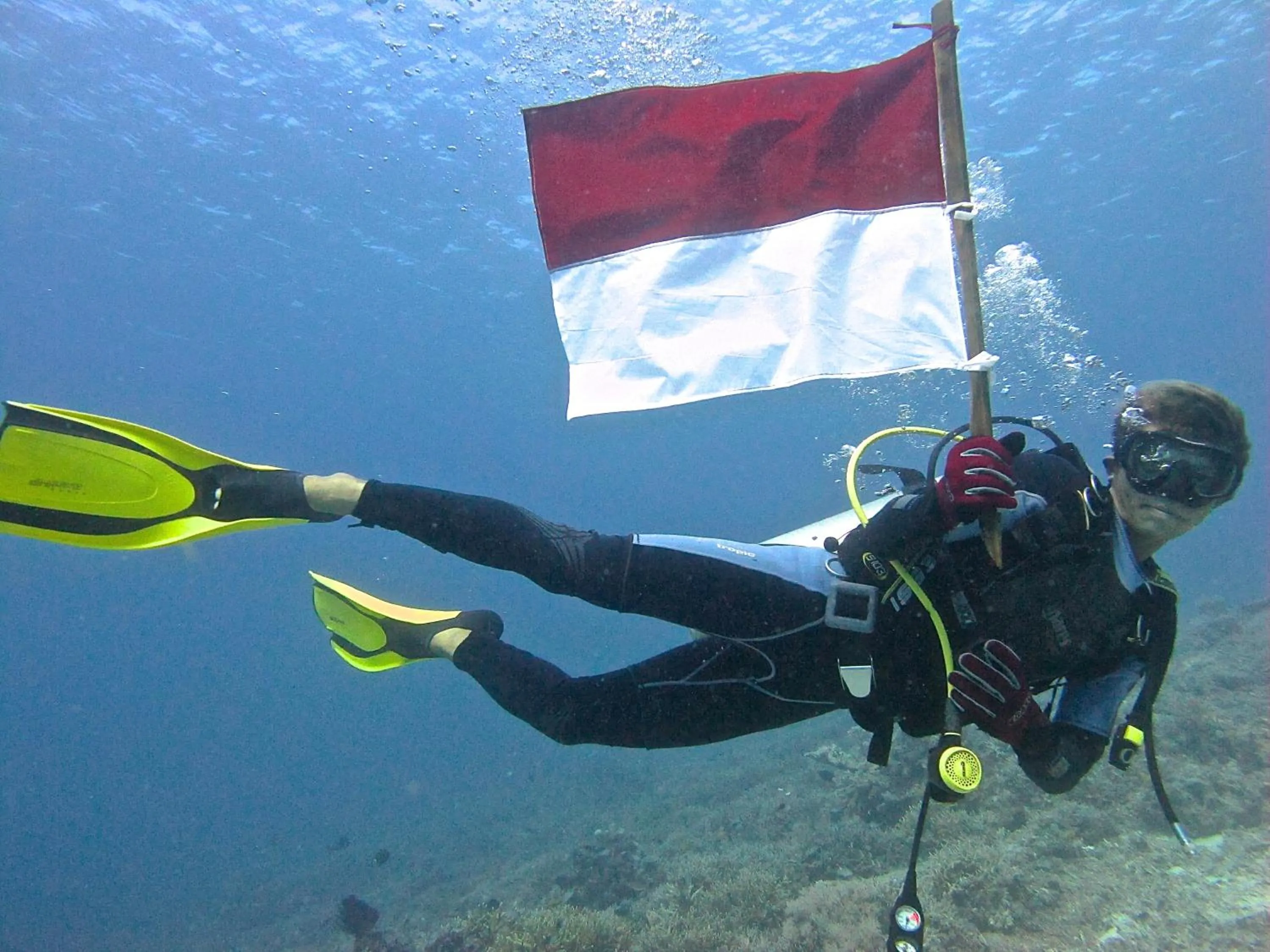 Diving in Komodo Resort