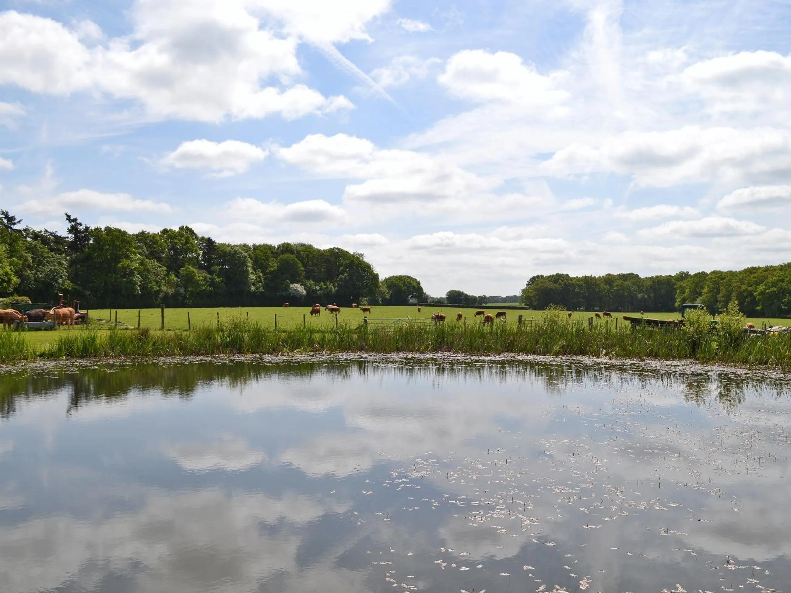 Property building in Romden Barn