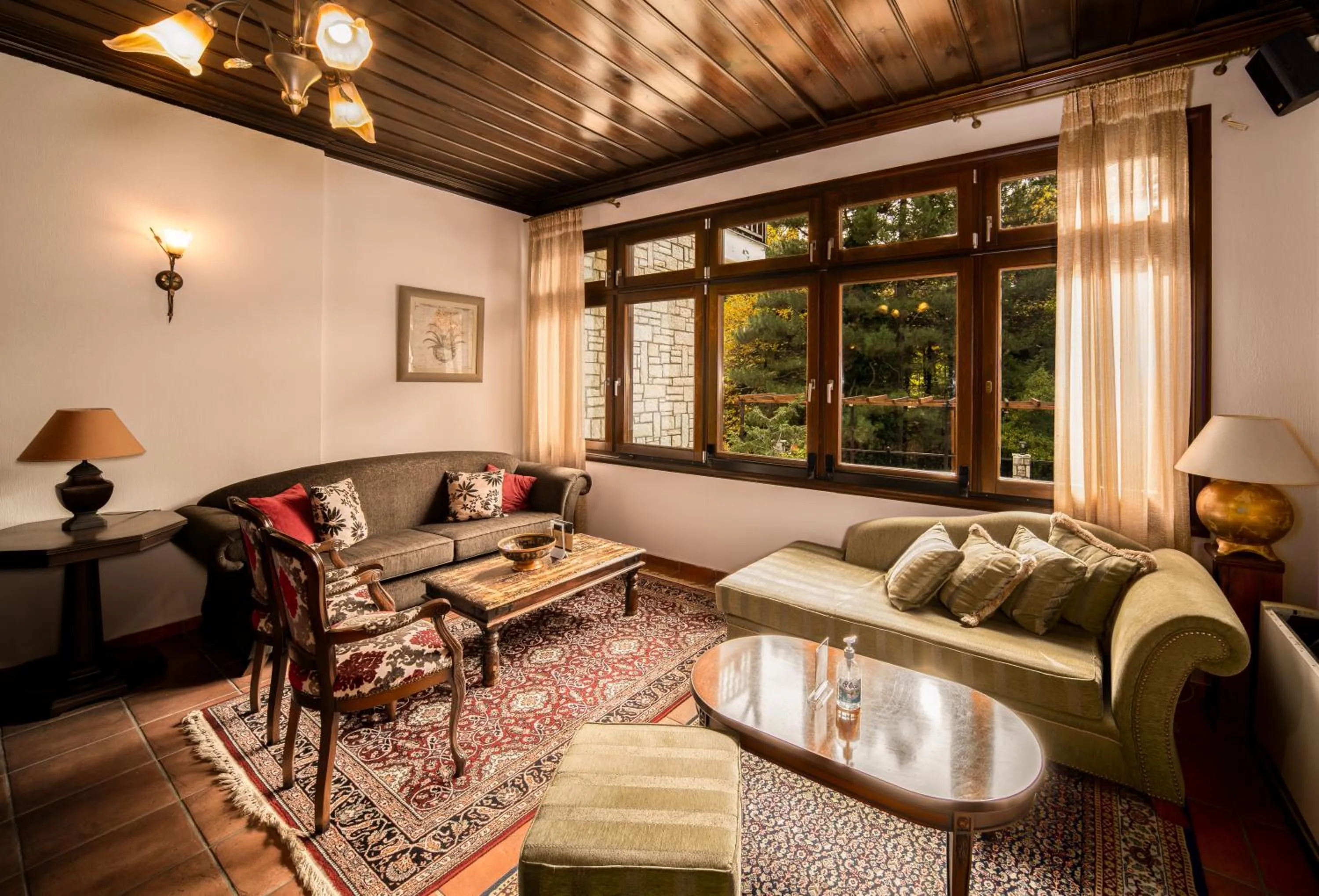 Living room in Hotel Giamandes