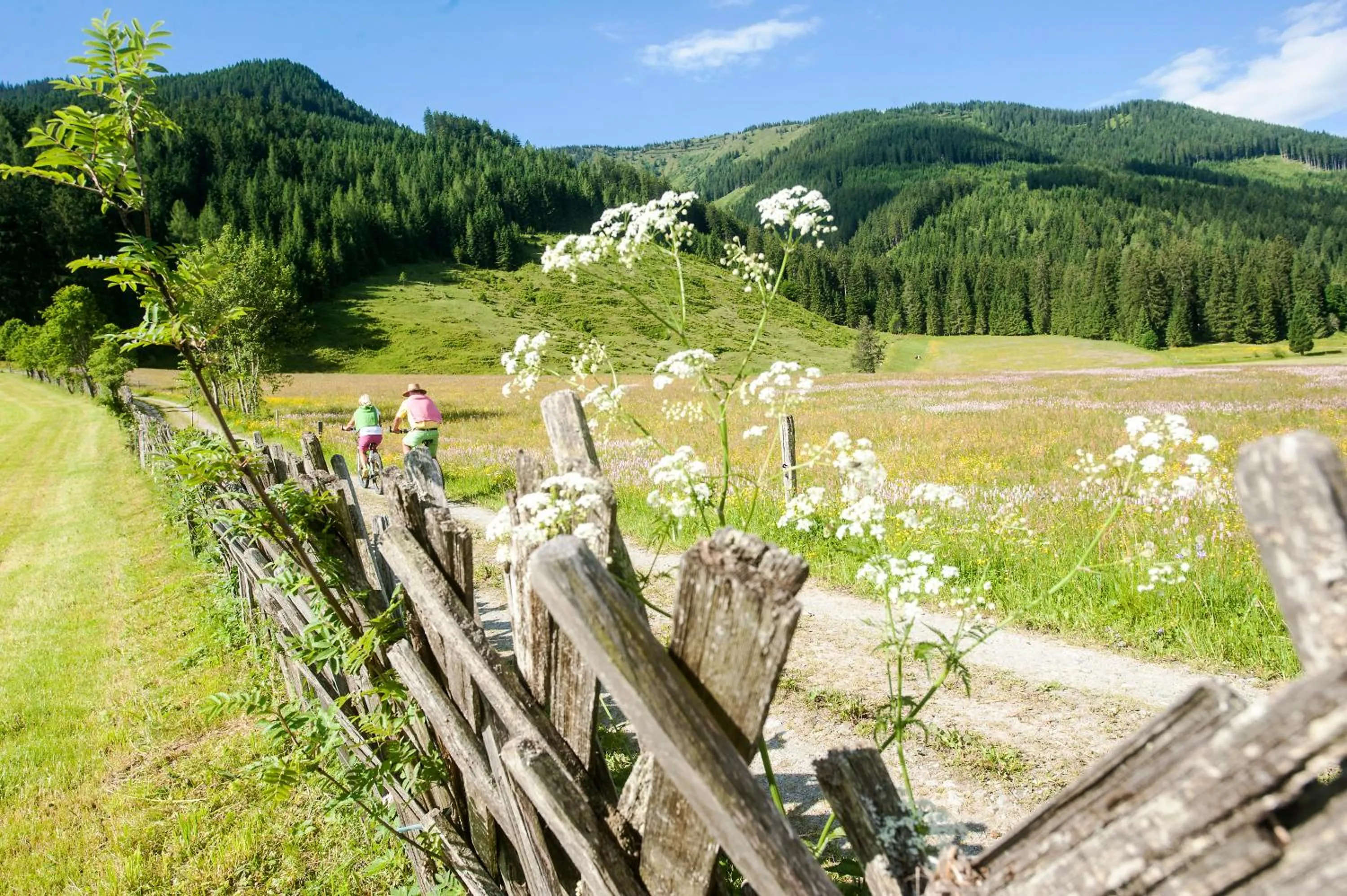 Cycling in meiZeit Lodge