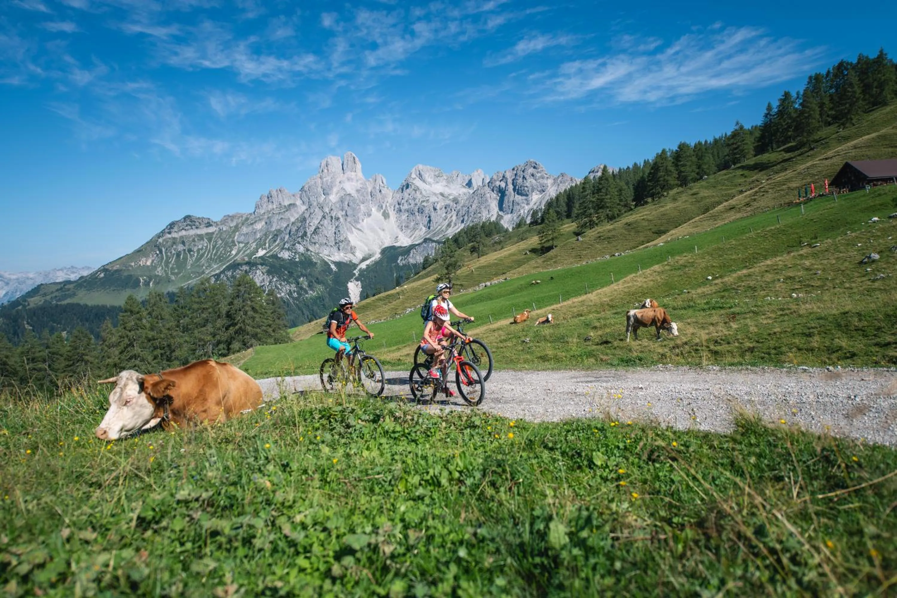 Cycling in meiZeit Lodge