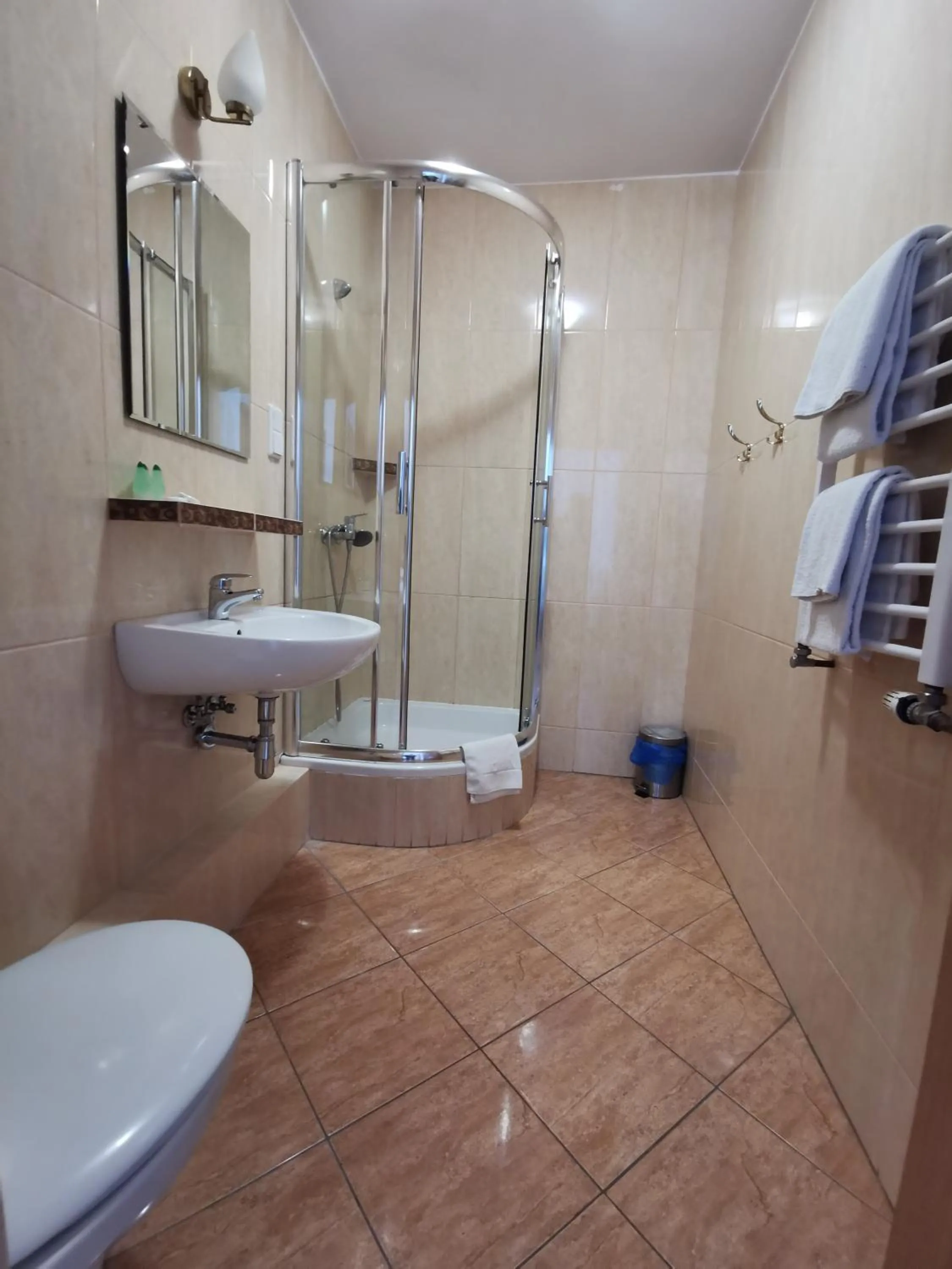 Bathroom in Hotel Zieliniec