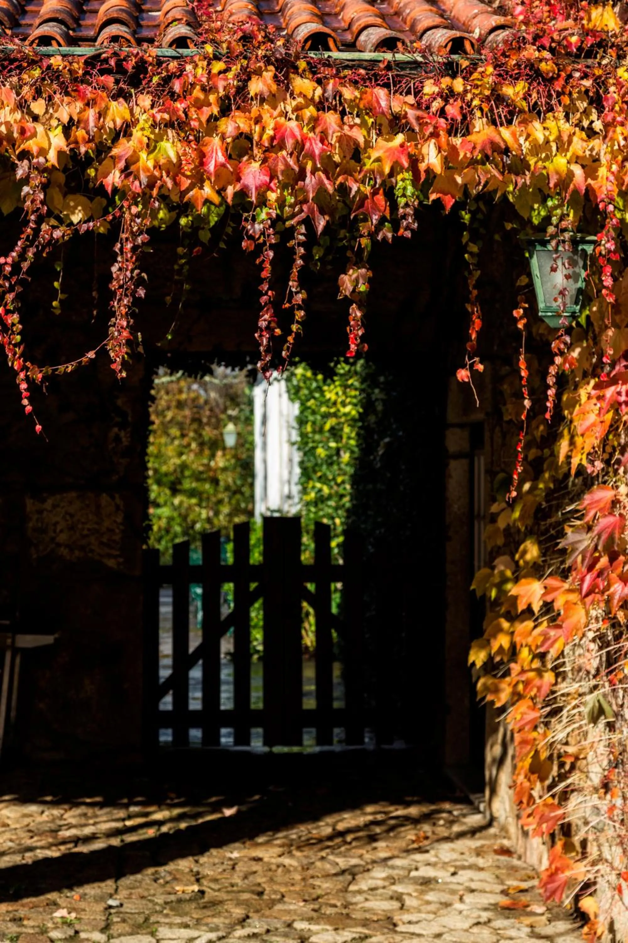 Facade/entrance in Casa da Roseira