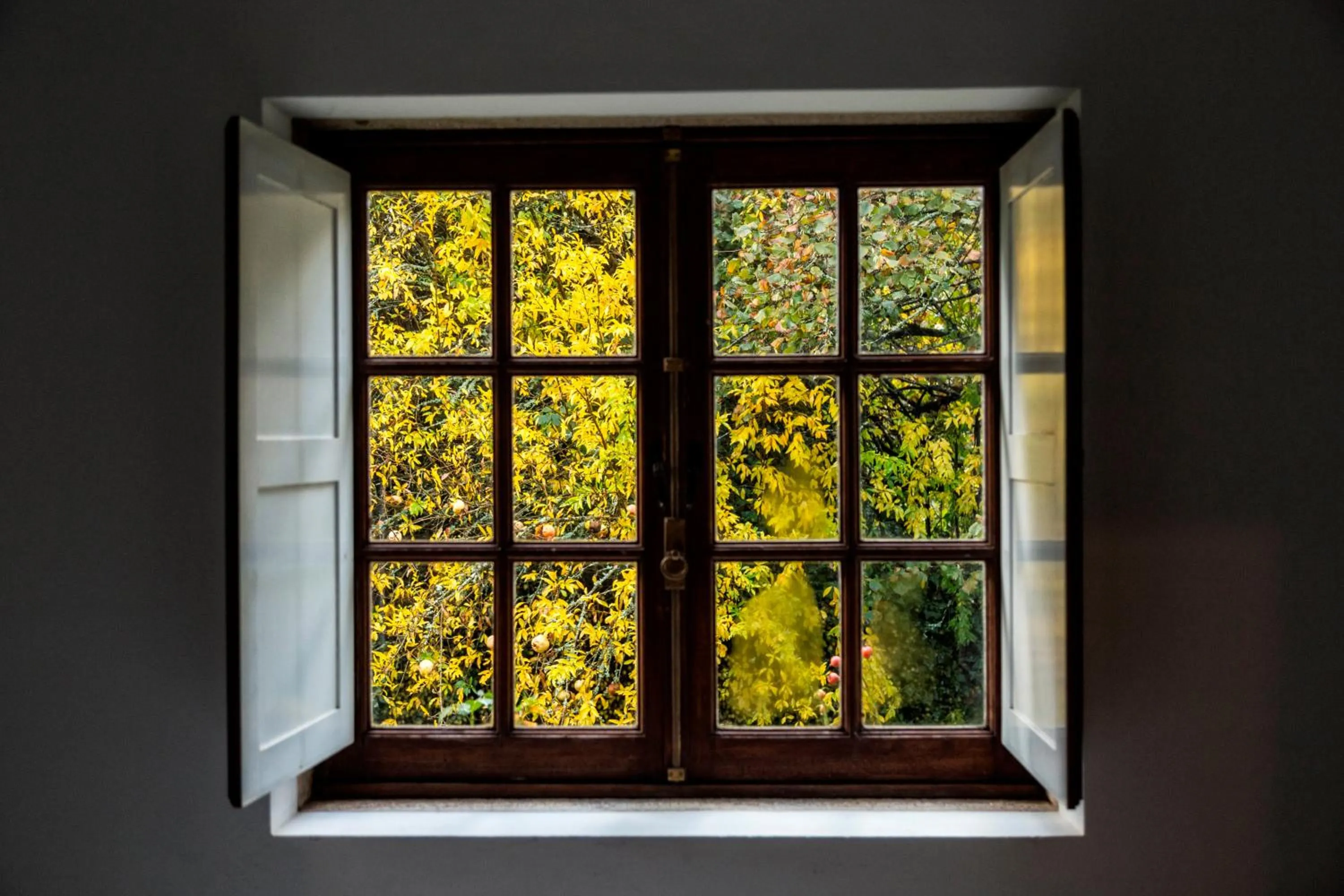 Garden view in Casa da Roseira