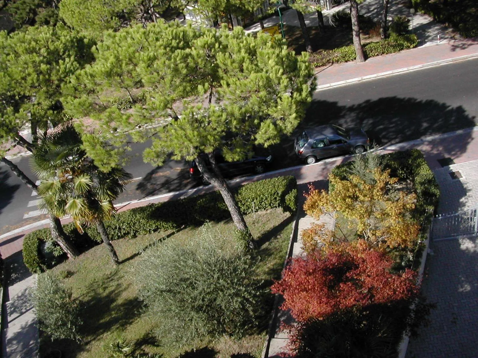 Garden in Hotel Rosapineta - Adults Only