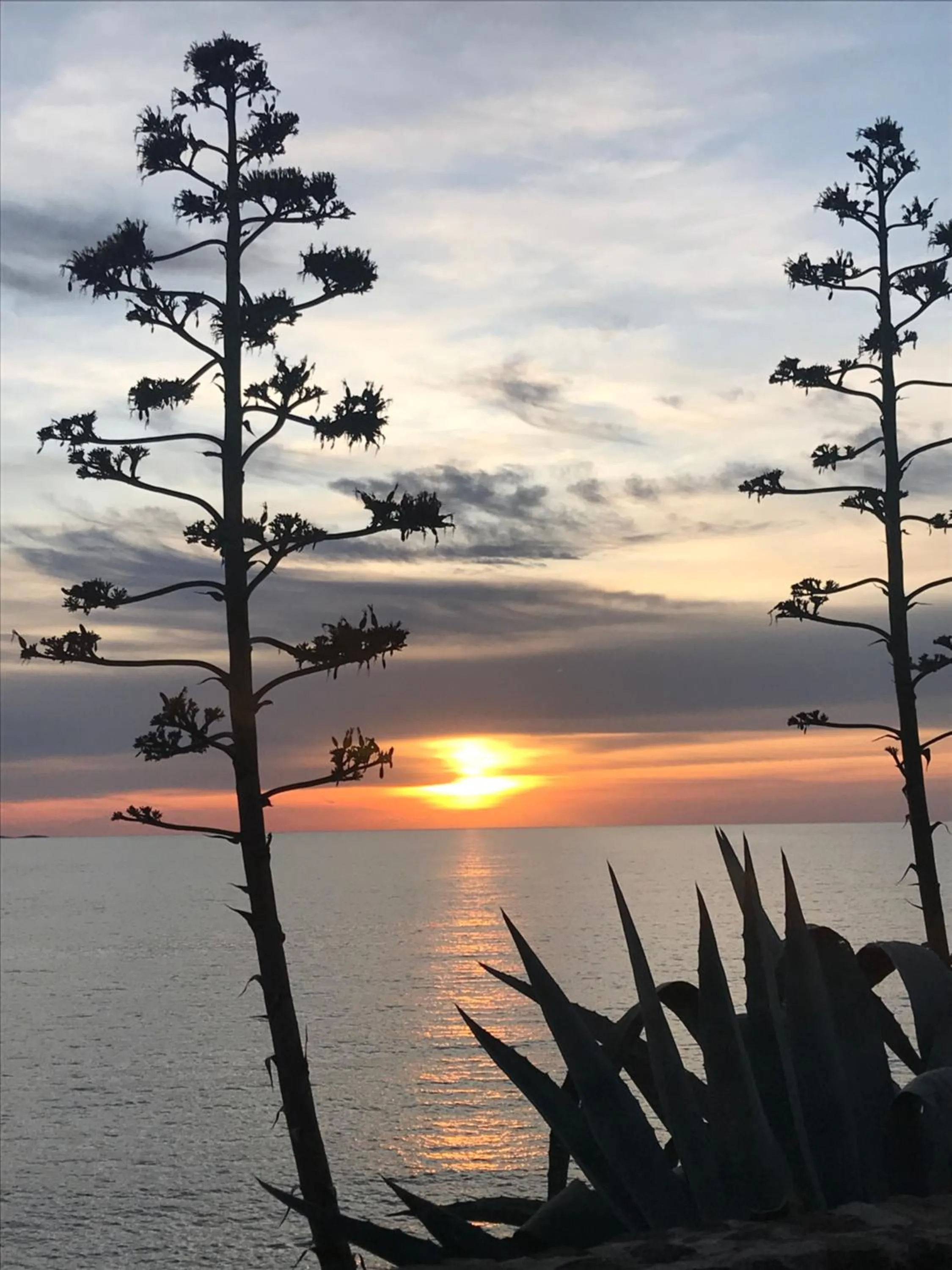 Beach in Hotel Rosapineta - Adults Only