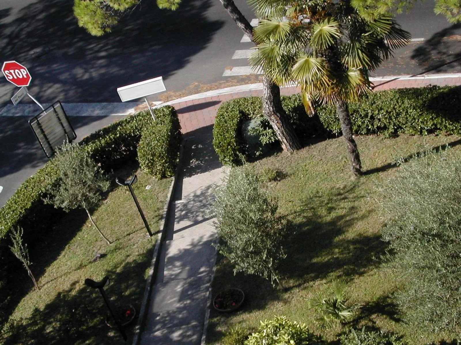 Garden view in Hotel Rosapineta - Adults Only