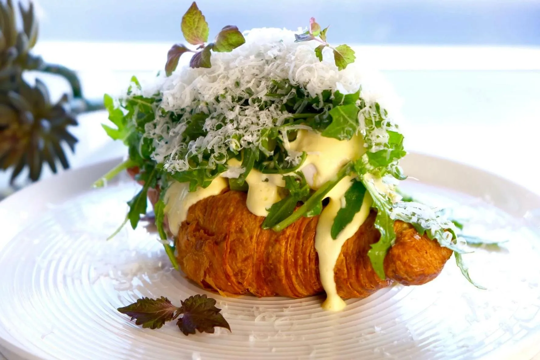 Restaurant/places to eat in The Sebel Canberra Civic