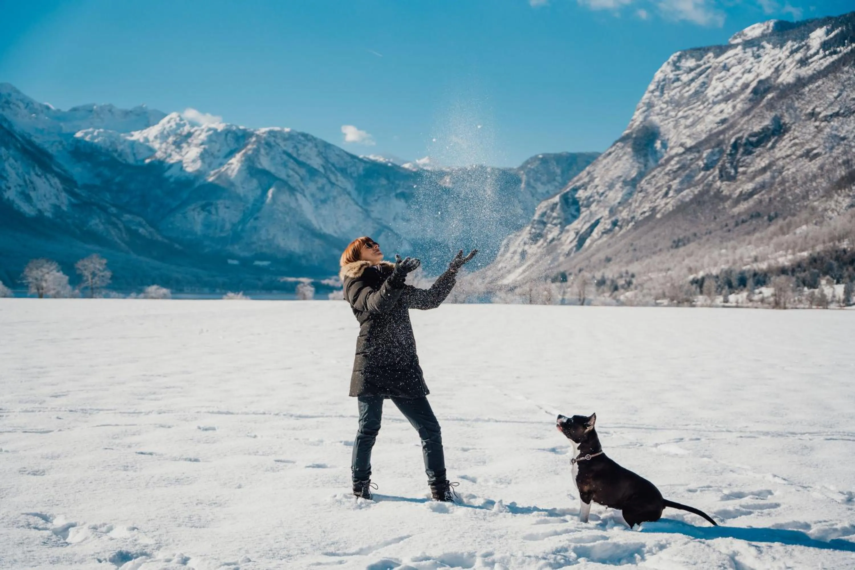 Winter in Apartmaji Triglav