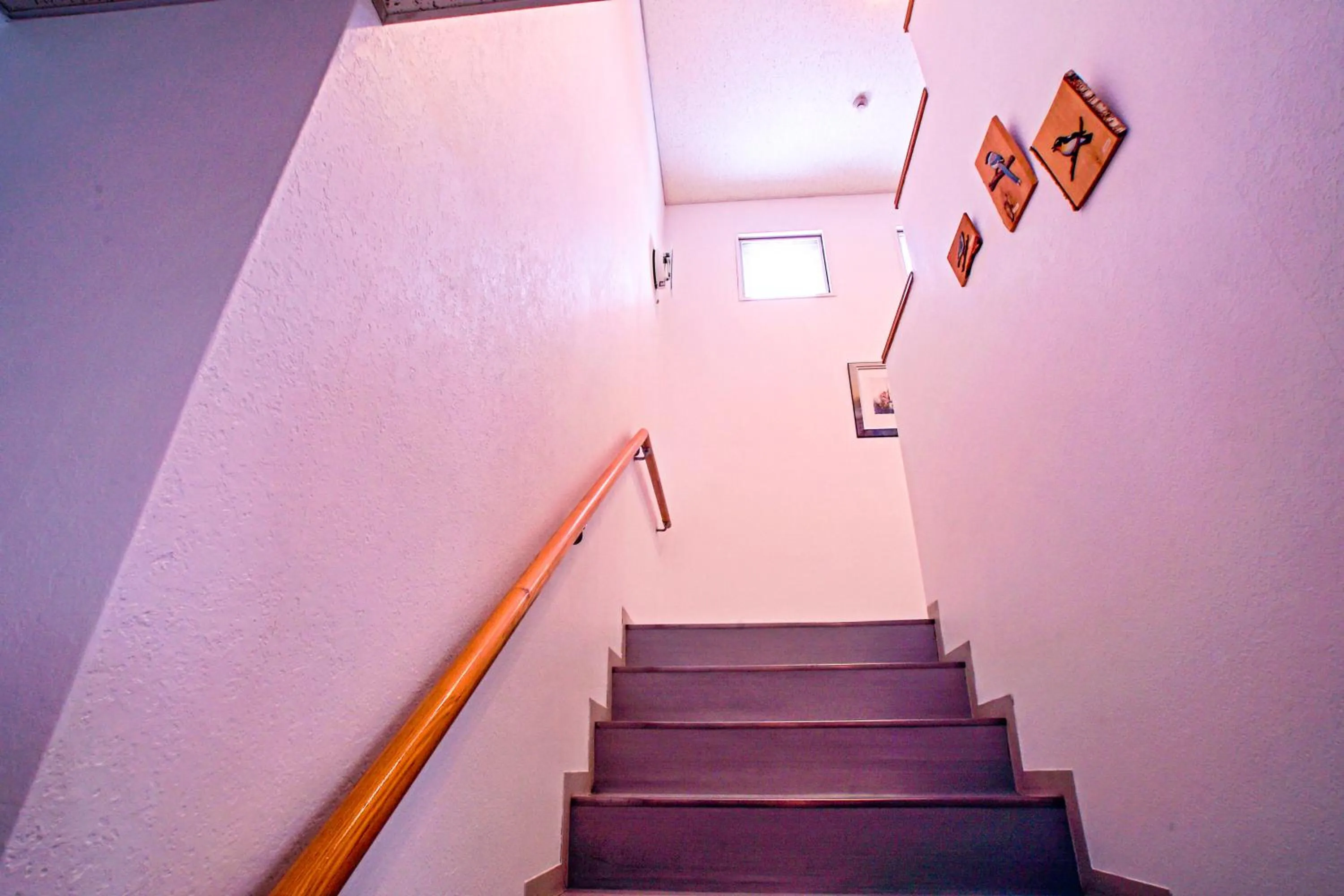 Other in Pension Entre - deux - Mers