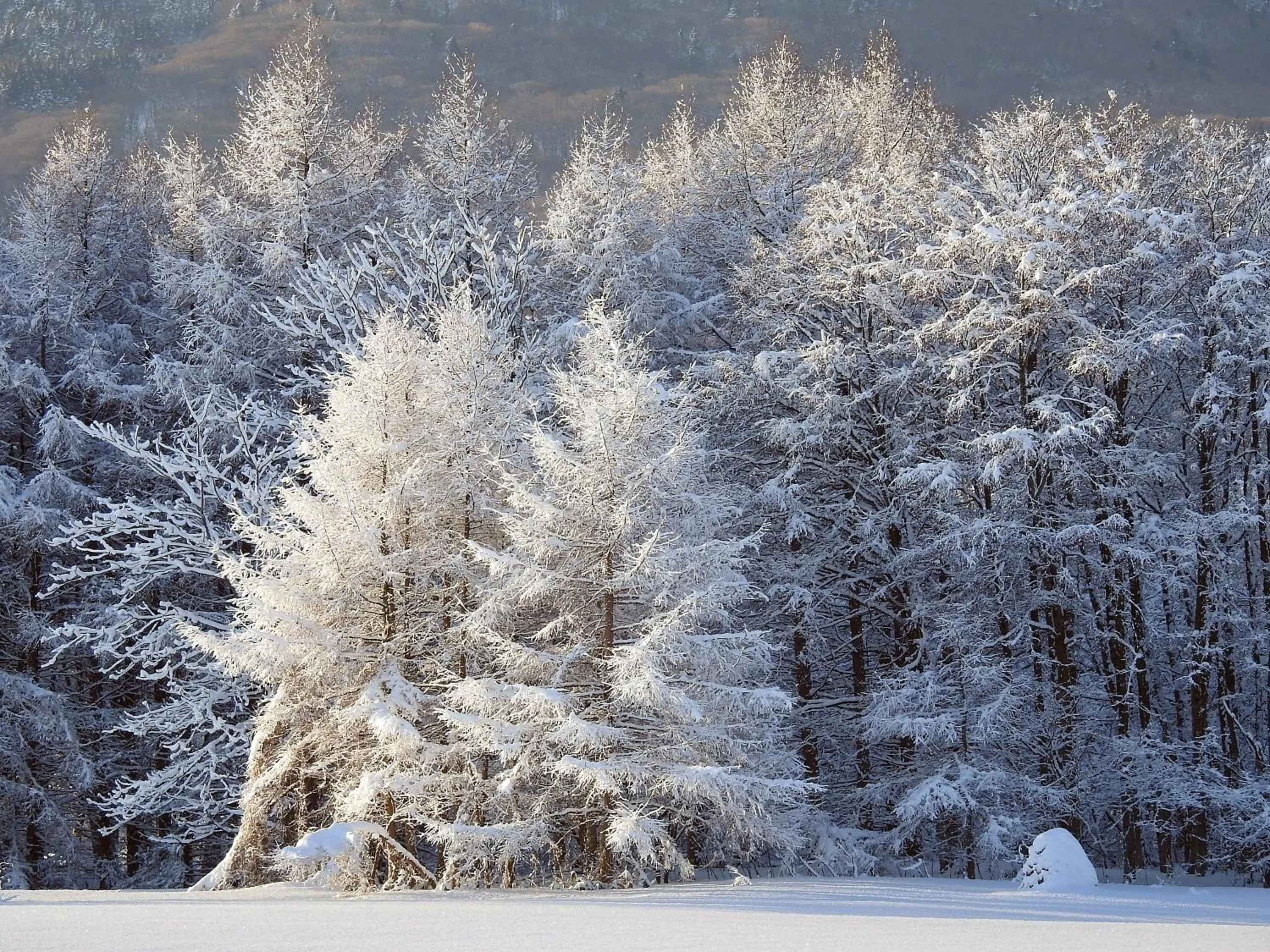 Off site in Pension Entre - deux - Mers