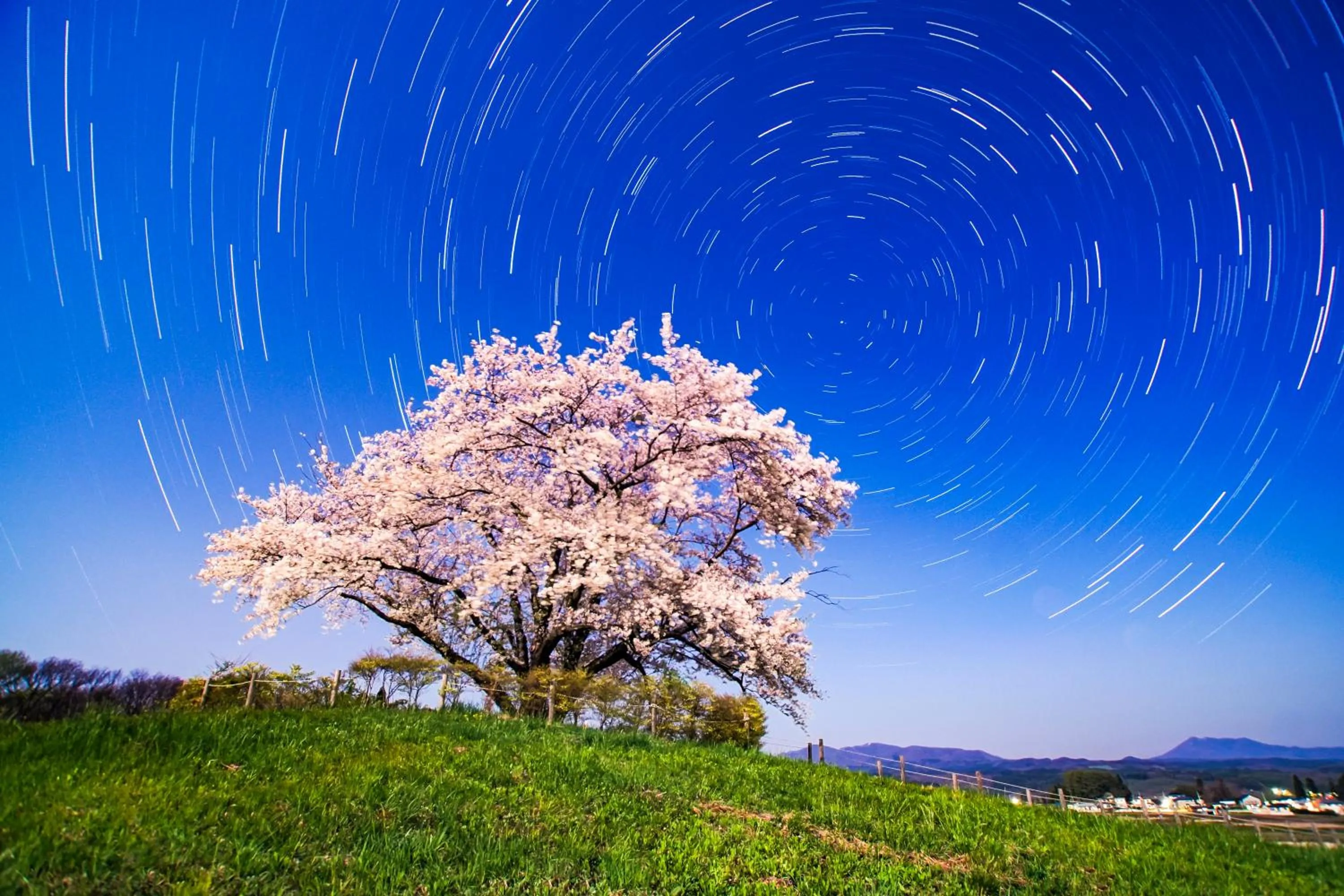 Spring in Pension Entre - deux - Mers