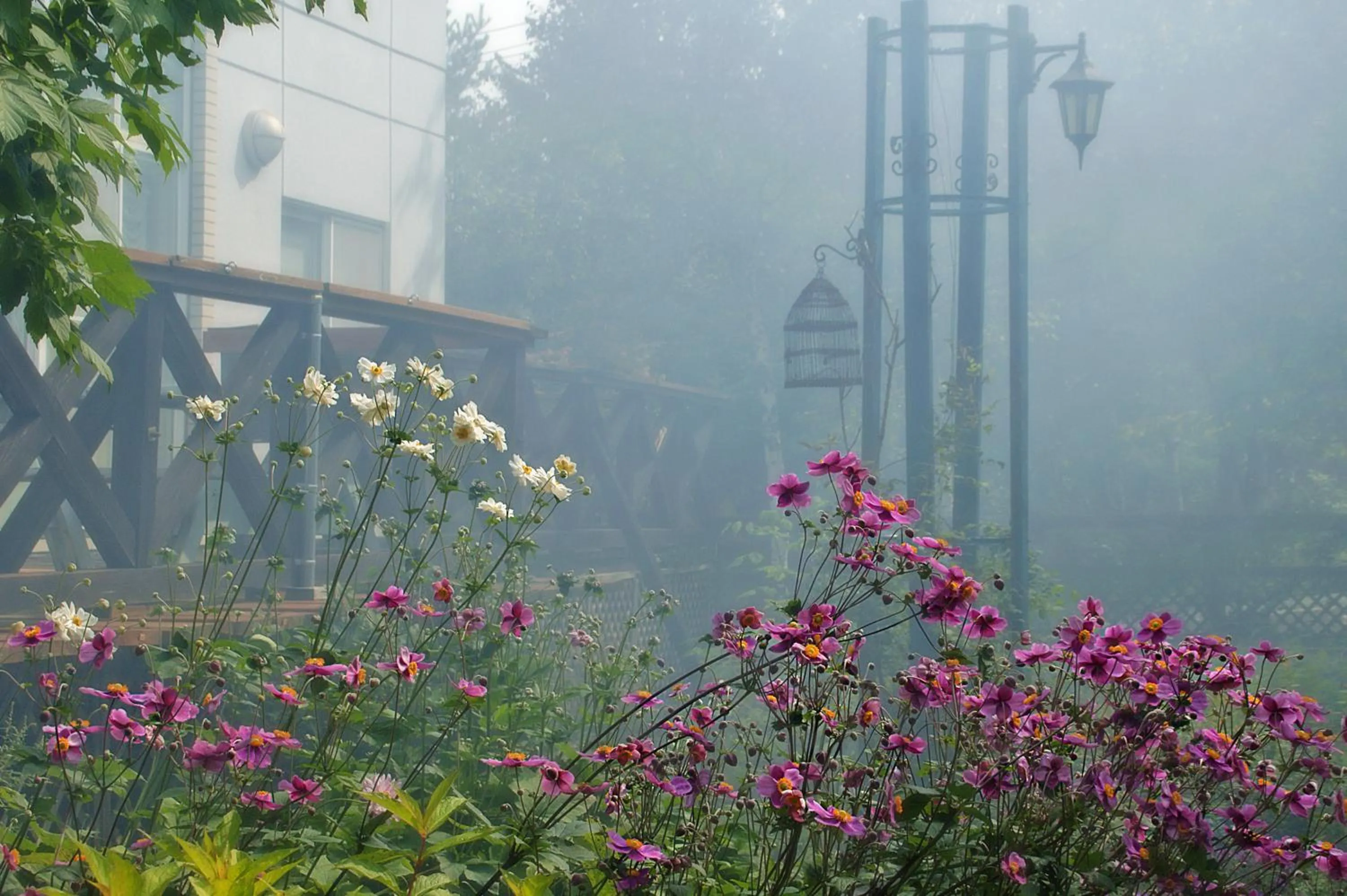 Garden in Pension Entre - deux - Mers