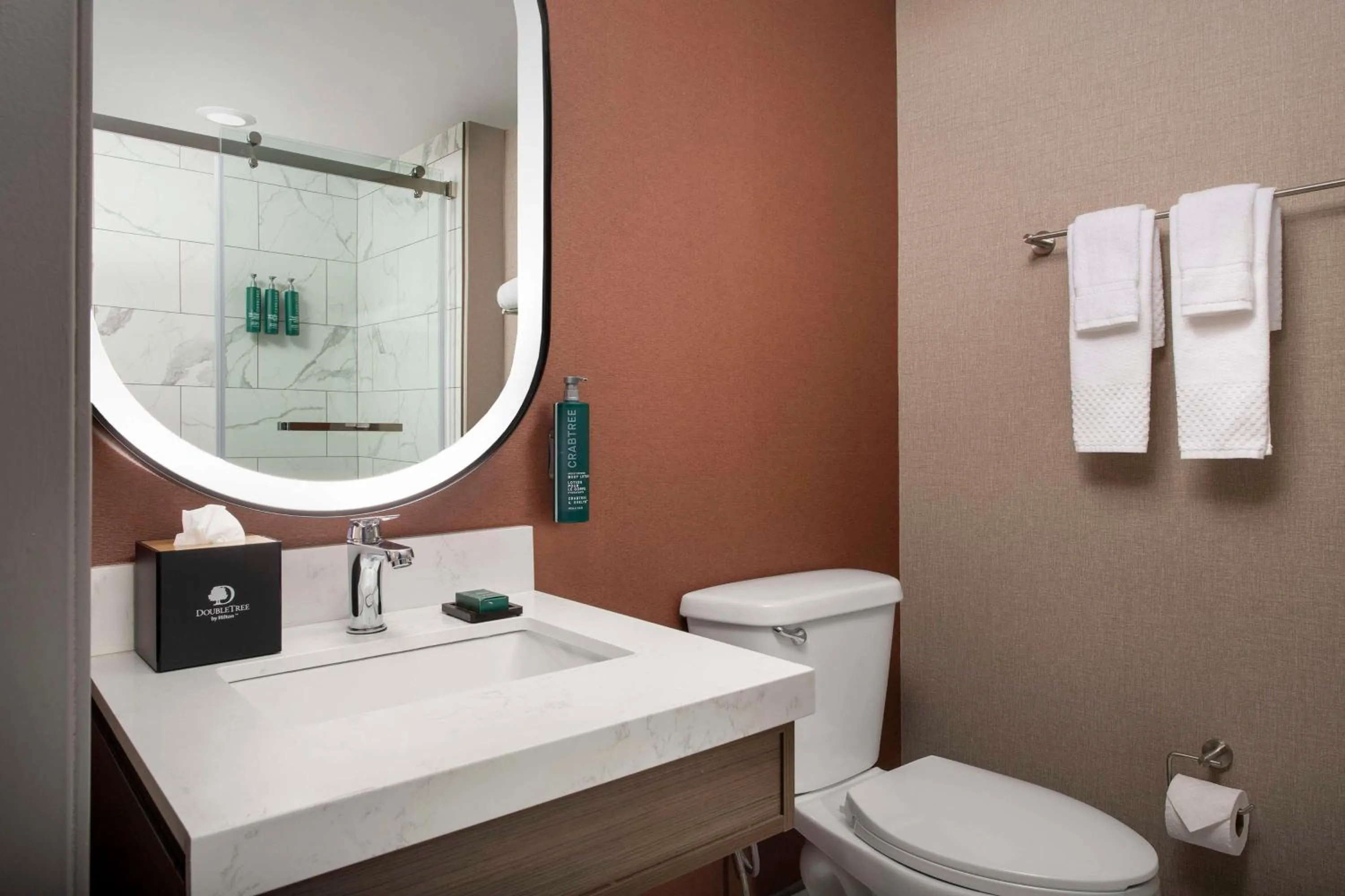 Bathroom in Doubletree by Hilton Chattanooga Hamilton Place