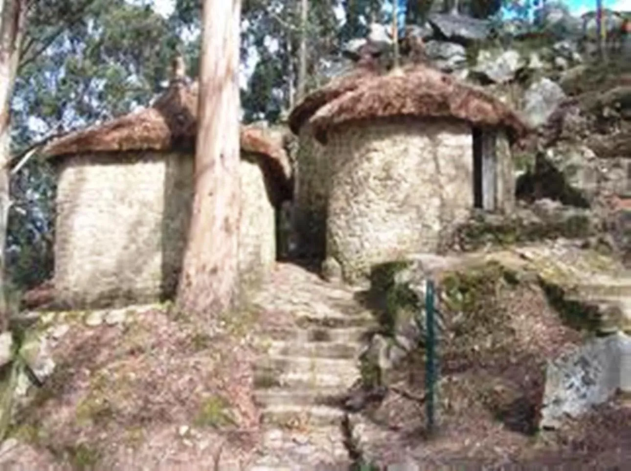 Natural landscape in Hotel Mira Rio