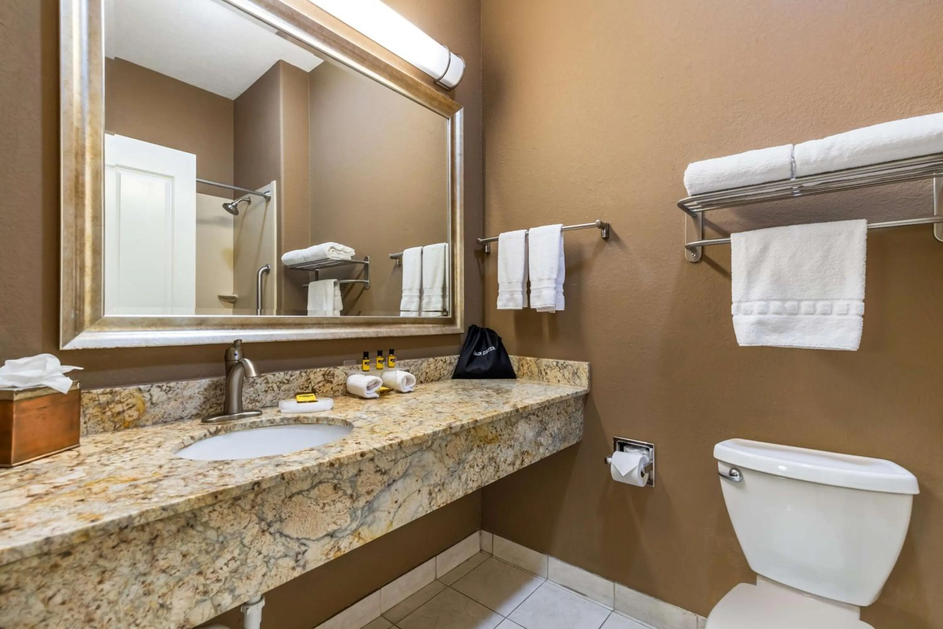 Bathroom in Best Western Plus Lytle Inn and Suites