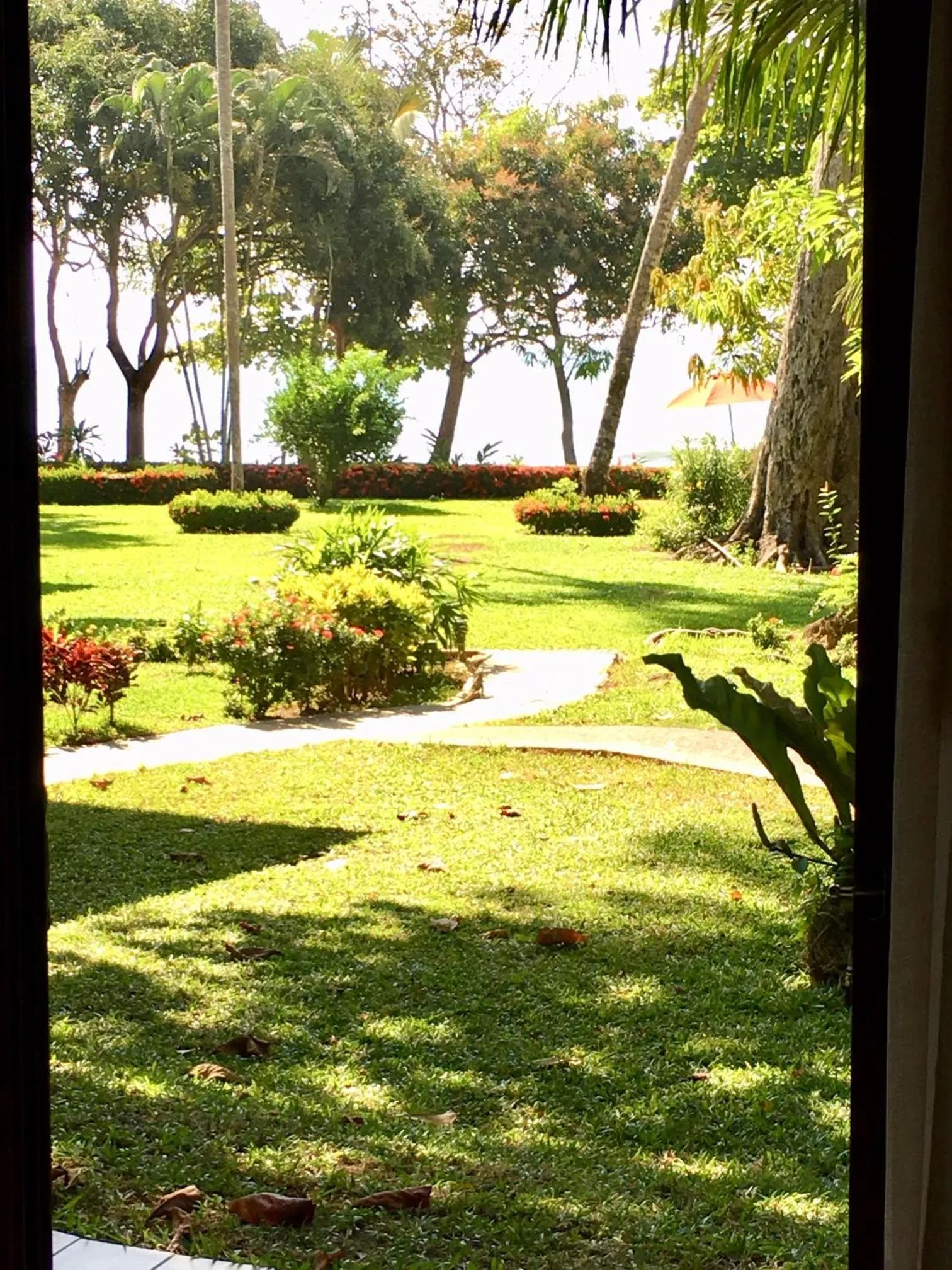 Patio in Club del Mar Oceanfront