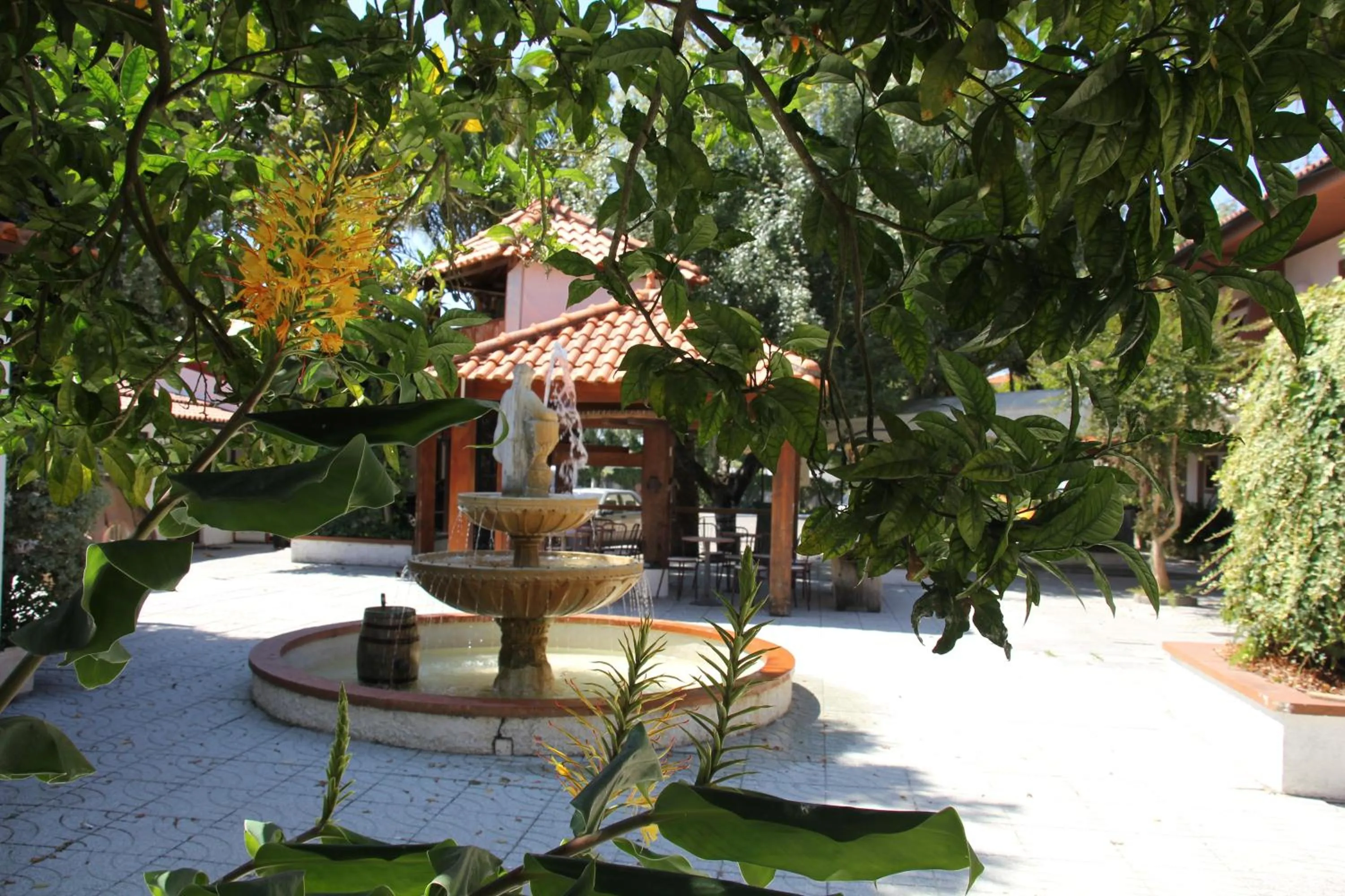 Garden in Hotel Joao Capela