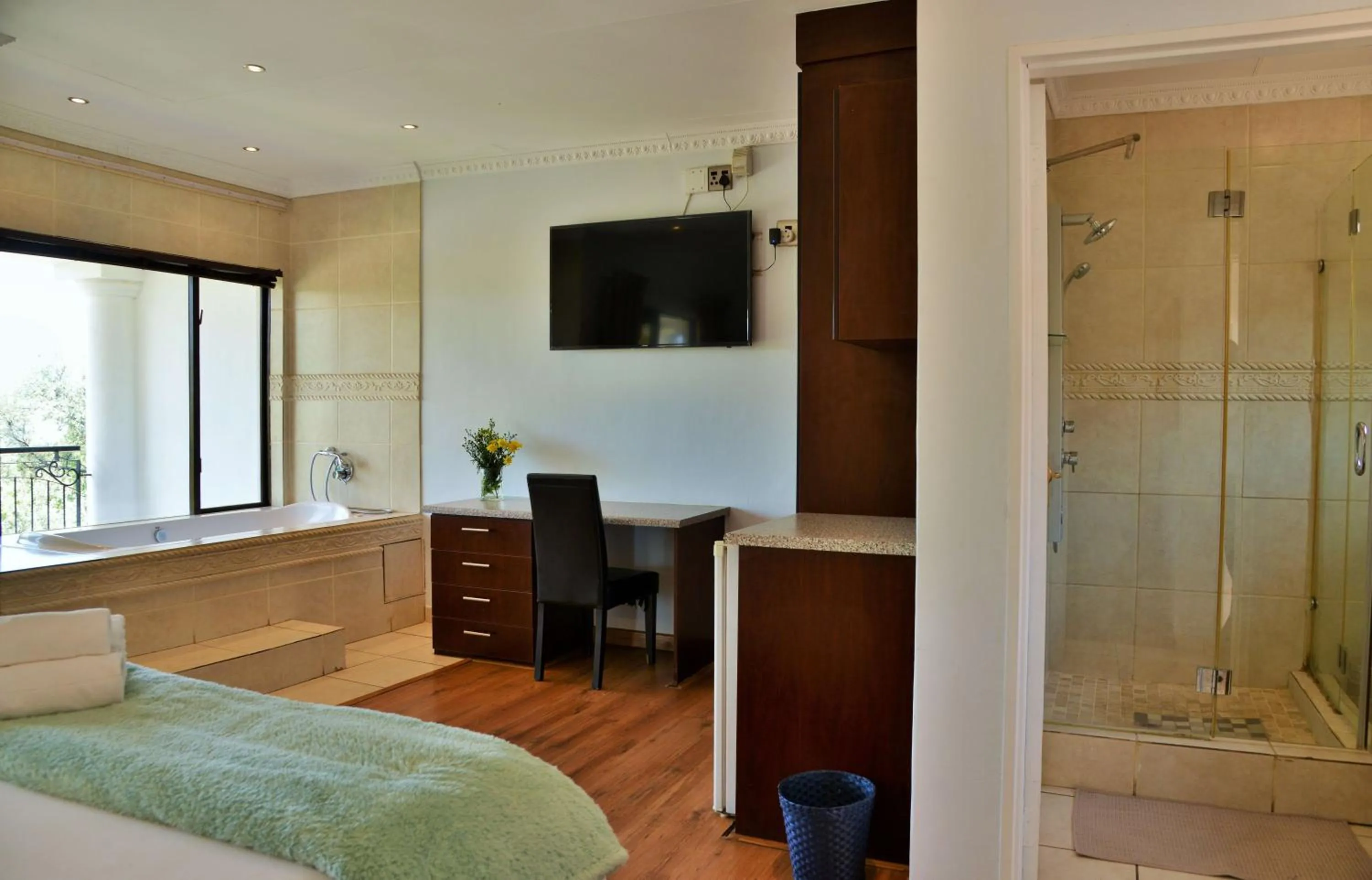 TV and multimedia in Indlovukazi Guesthouse