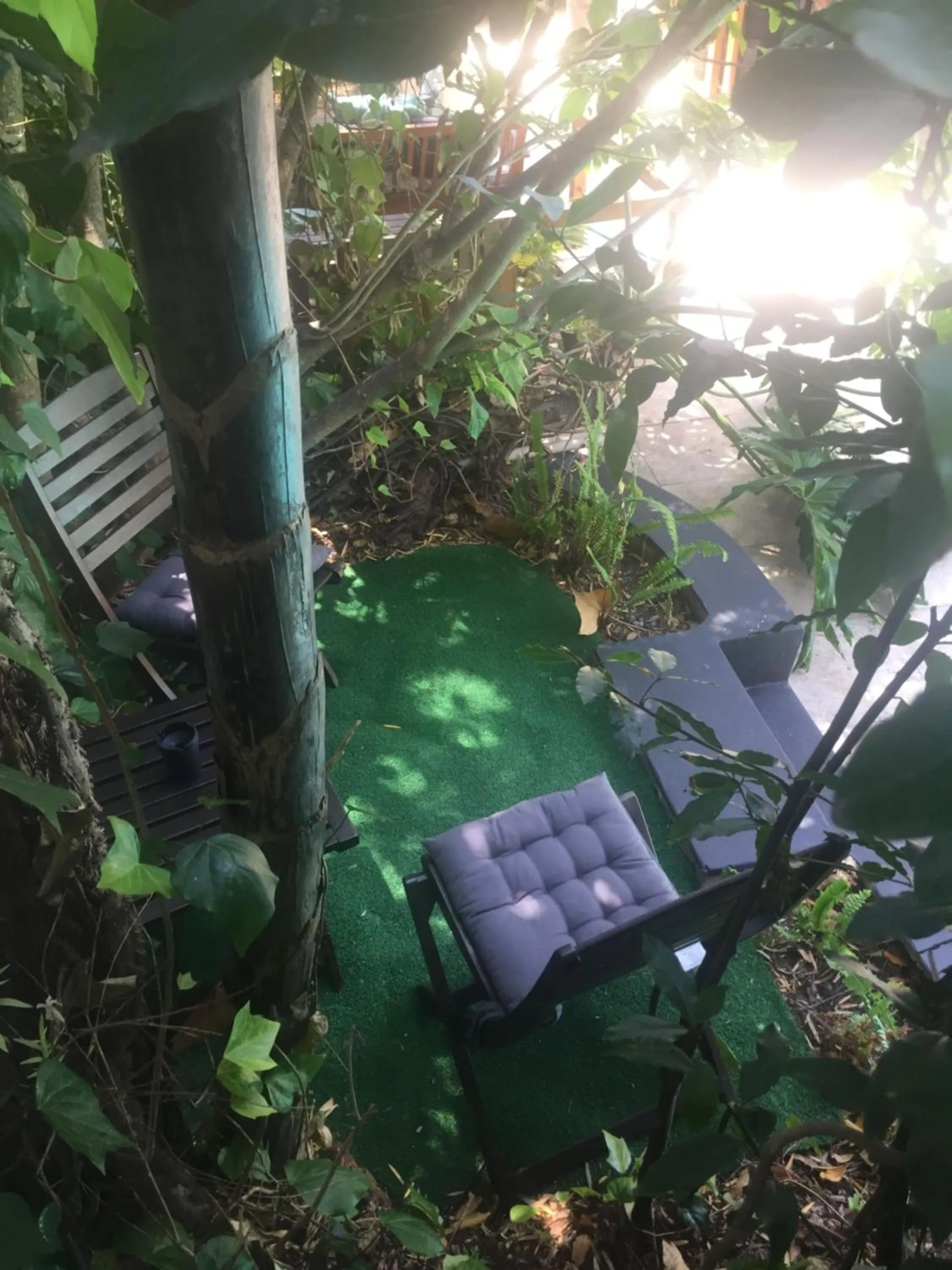 Garden in Little Scotia