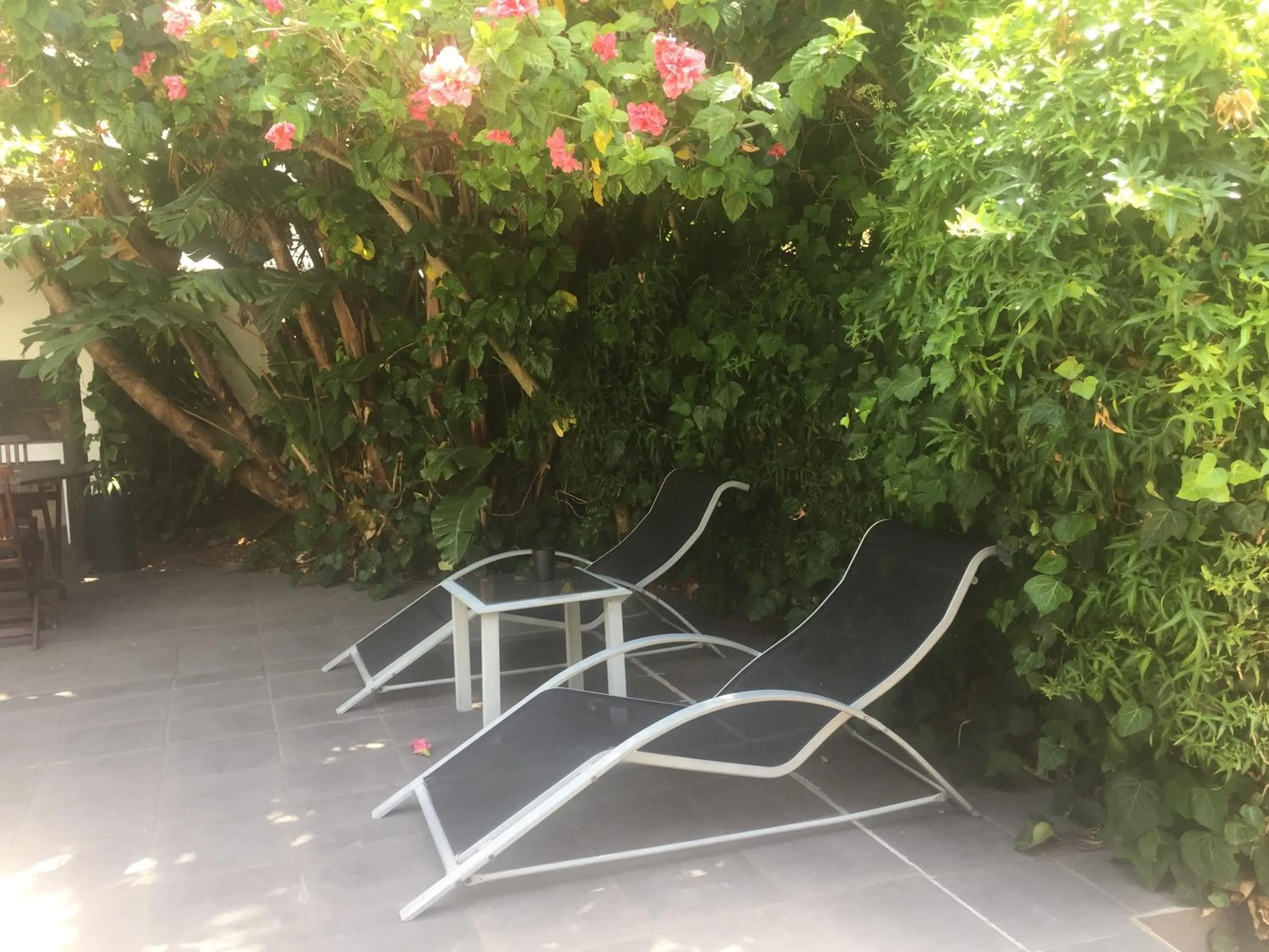 Balcony/Terrace in Little Scotia