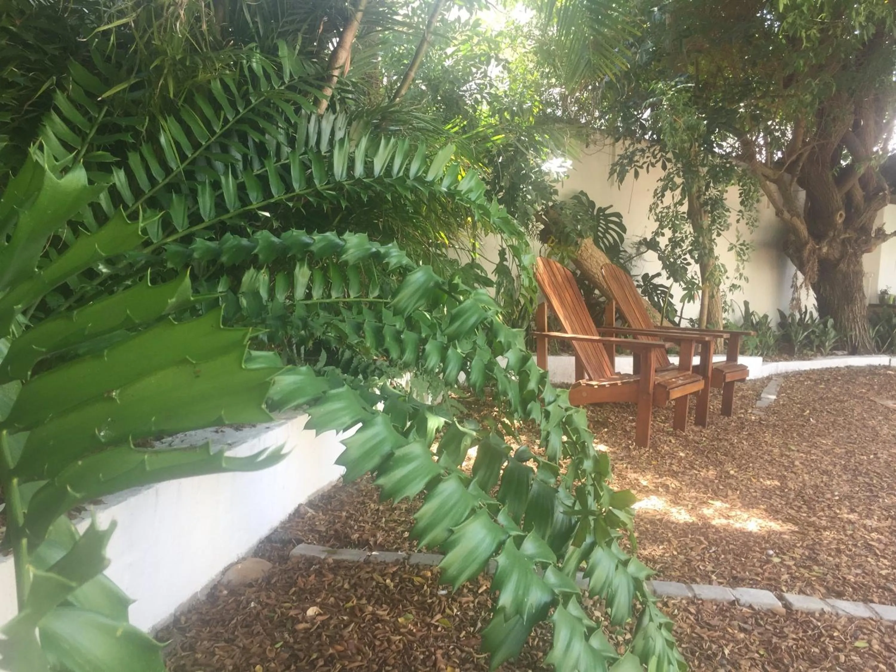 Garden in Little Scotia