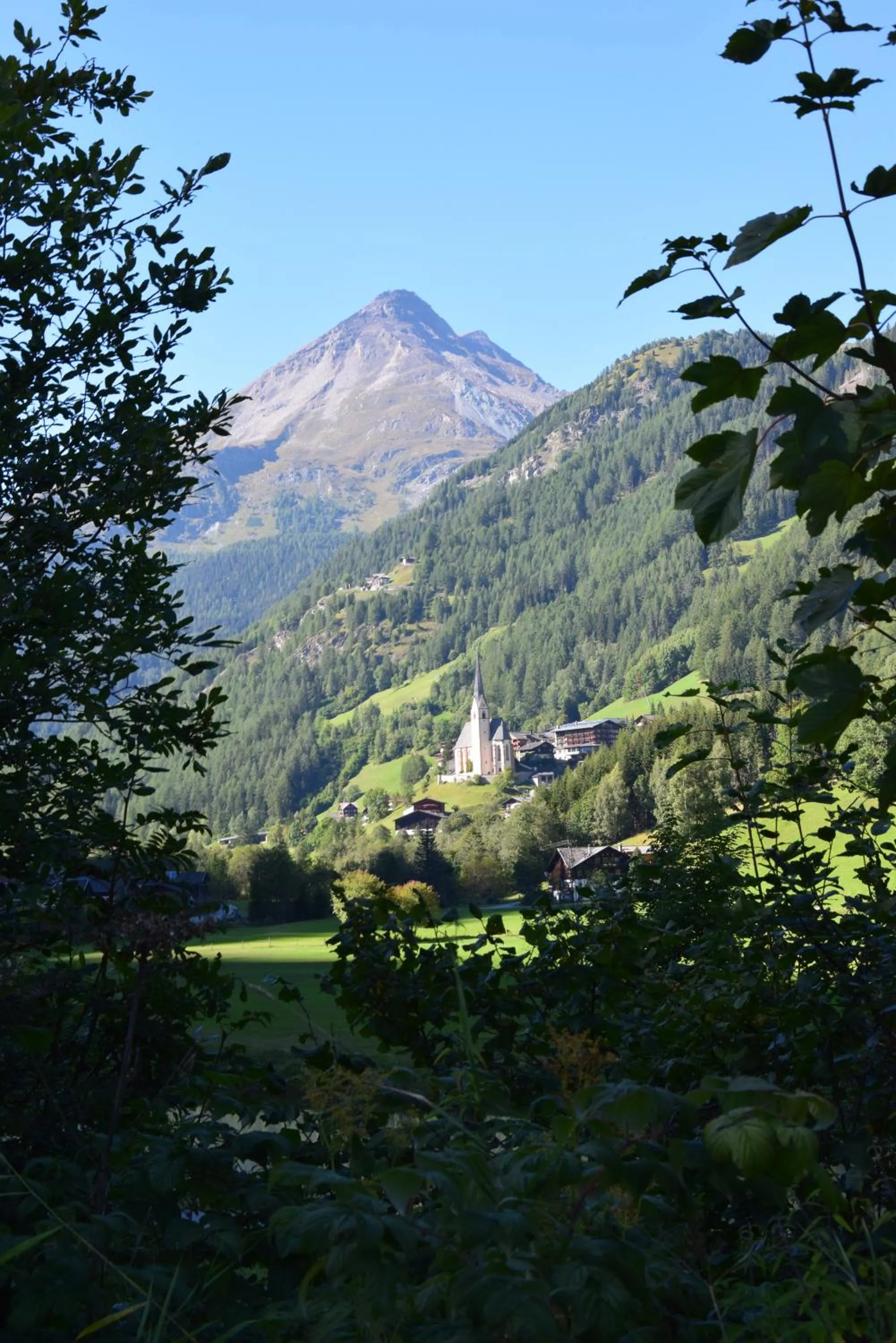 Hotel - Restaurant - Sonnblick