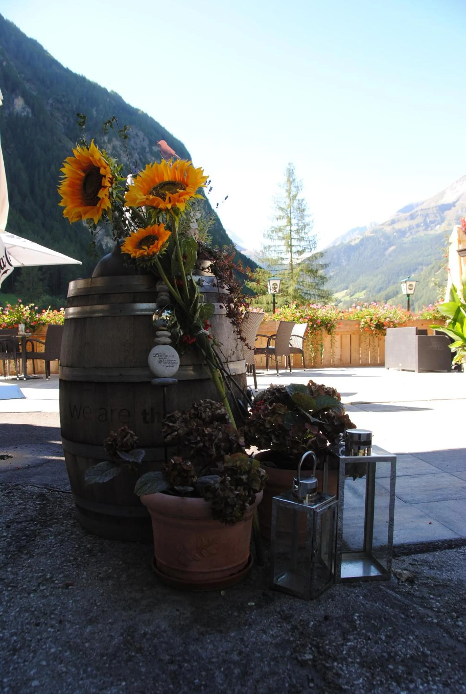 Hotel - Restaurant - Sonnblick