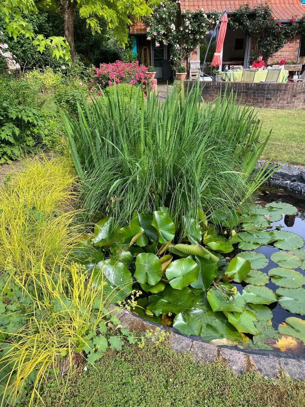 Garden in A la Maison du Héron