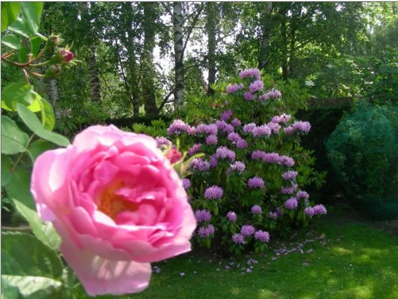 Garden in A la Maison du Héron
