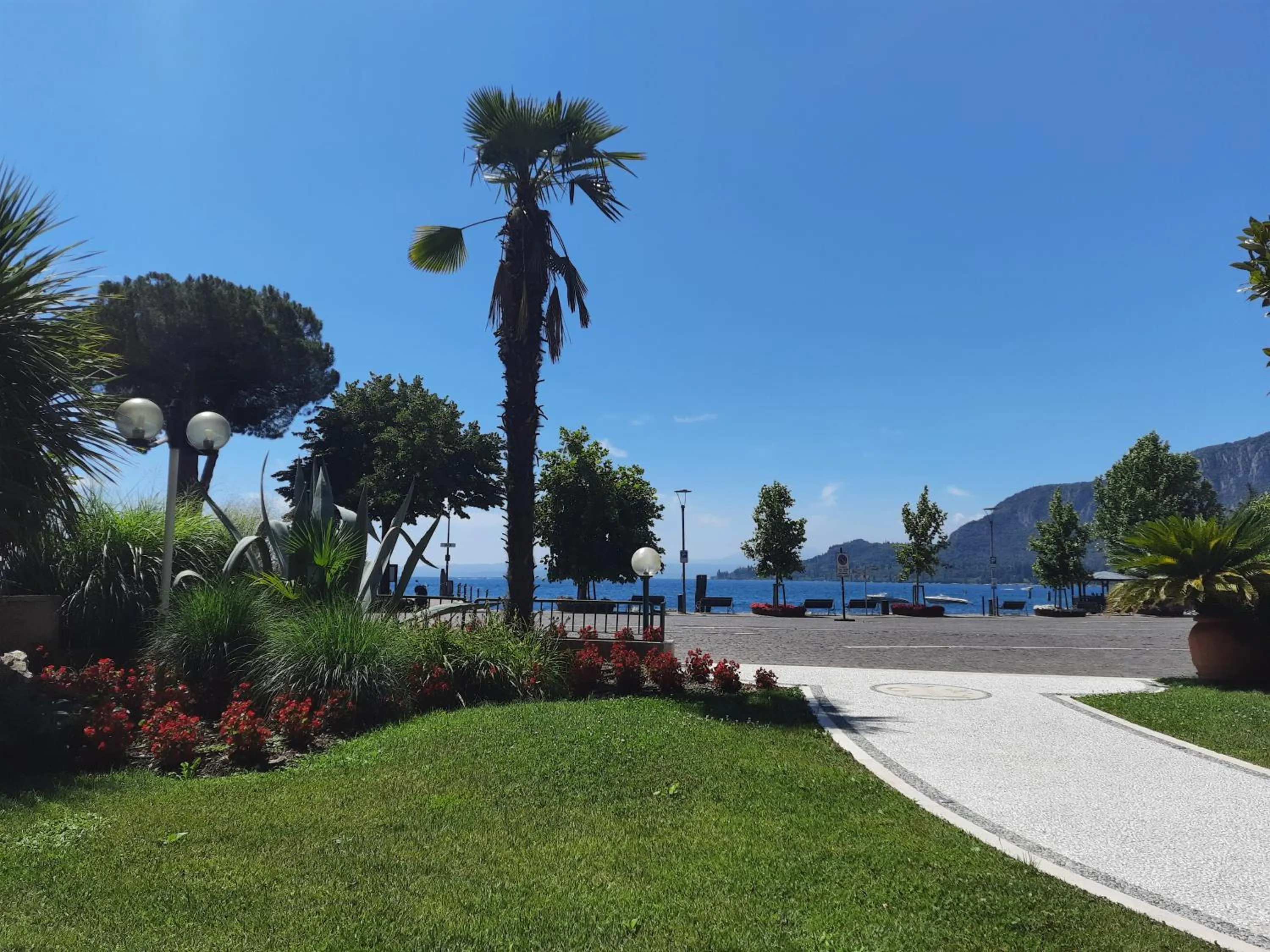 Garden in Hotel Terminus