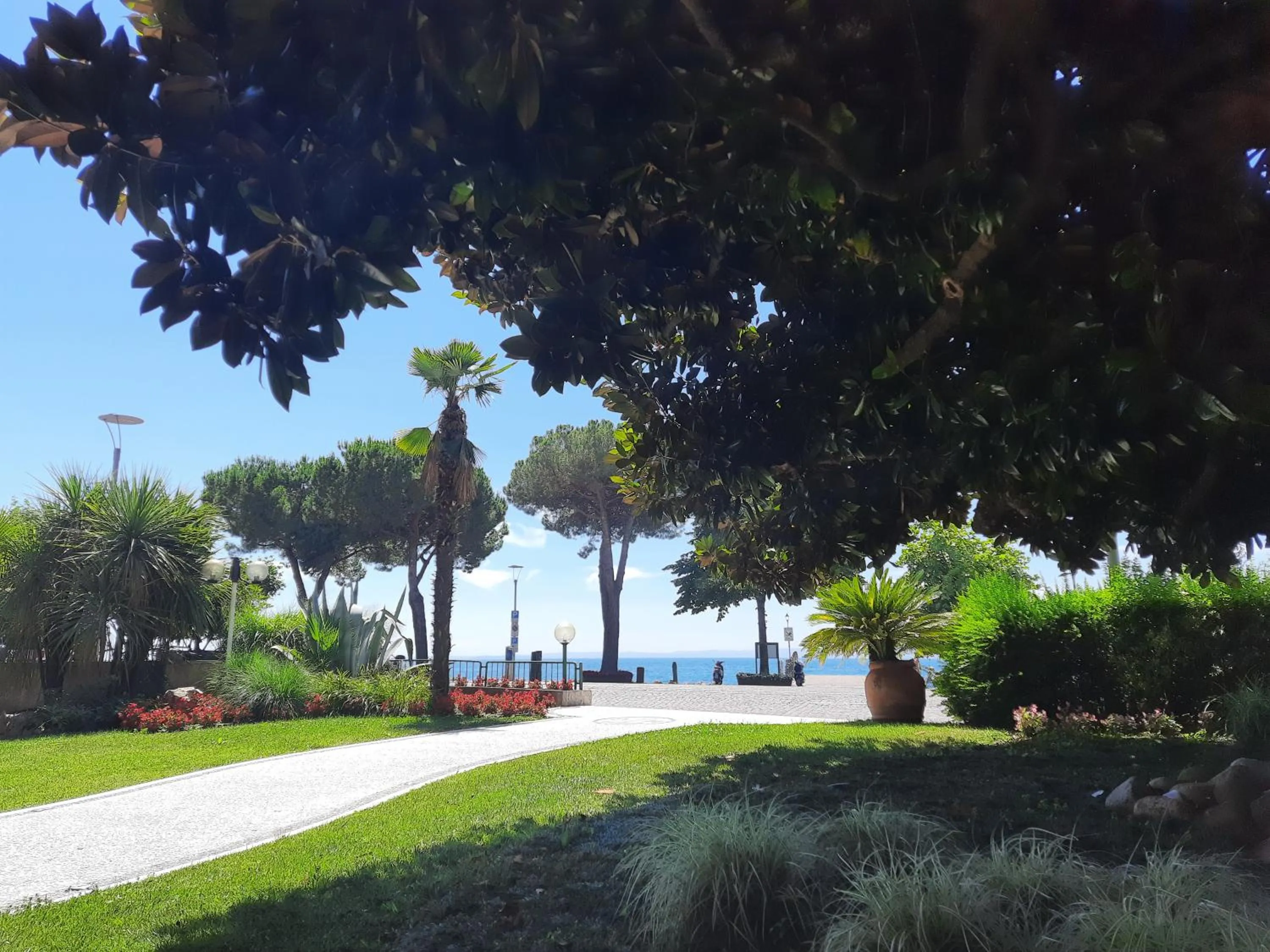 Garden in Hotel Terminus