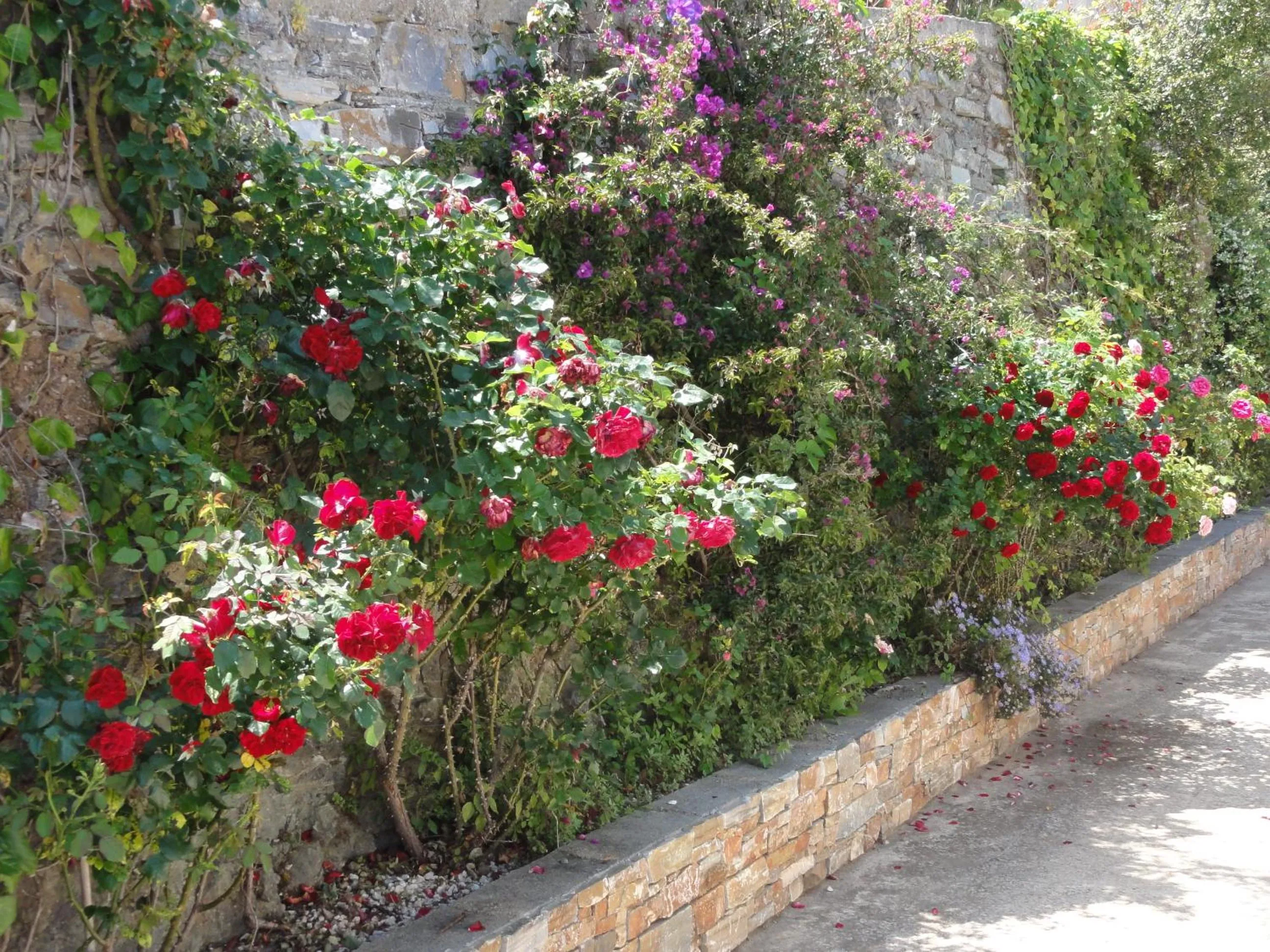 Chambre Élégante Lisa
